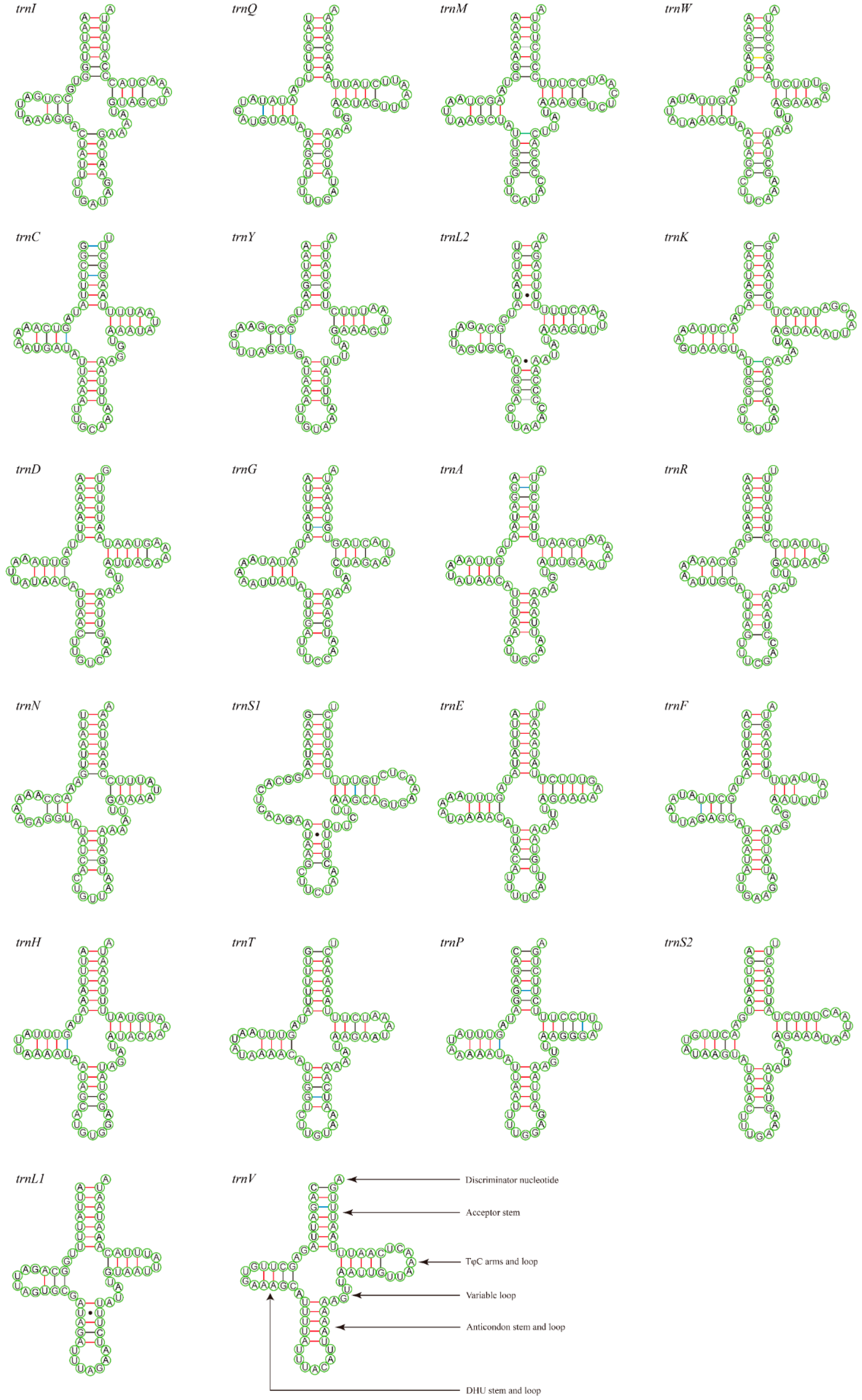 Insects 15 00057 g005 Insects 15 00057 g005