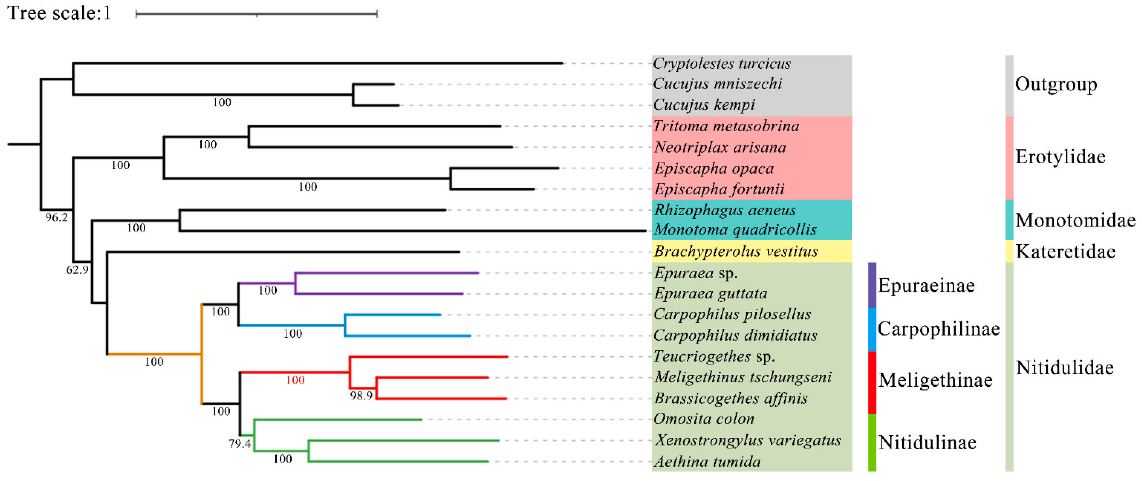 Insects 15 00057 g009 Insects 15 00057 g009