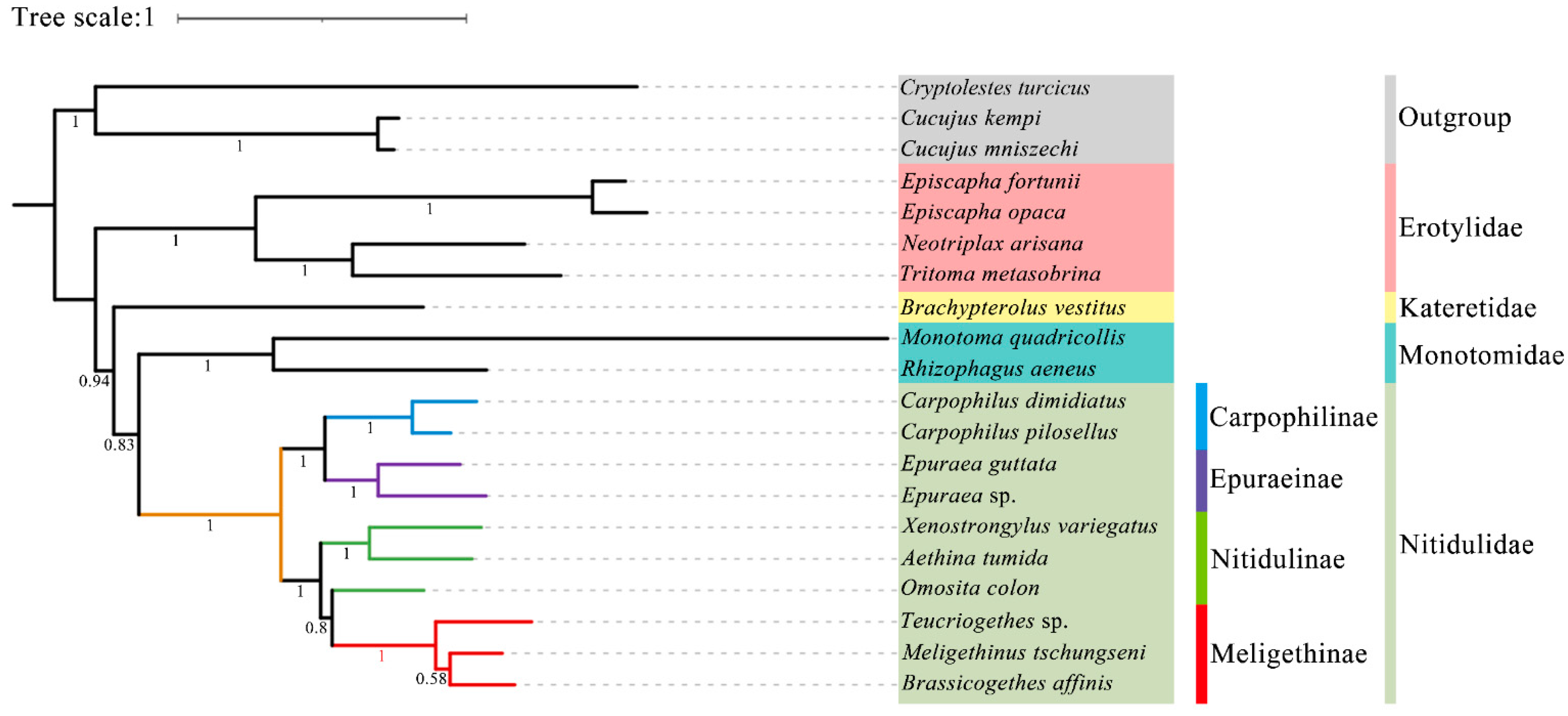 Insects 15 00057 g010 Insects 15 00057 g010