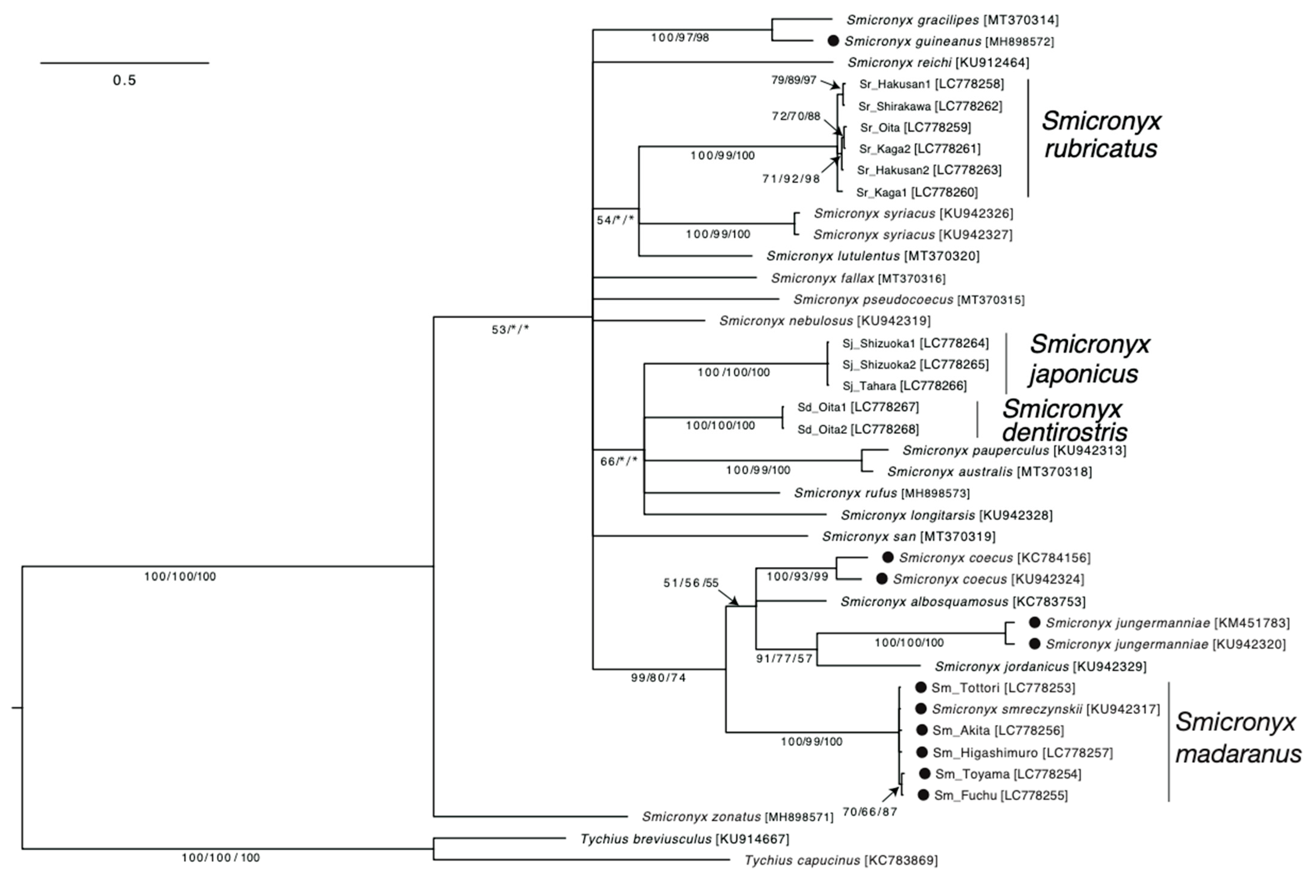 Insects 15 00063 g003