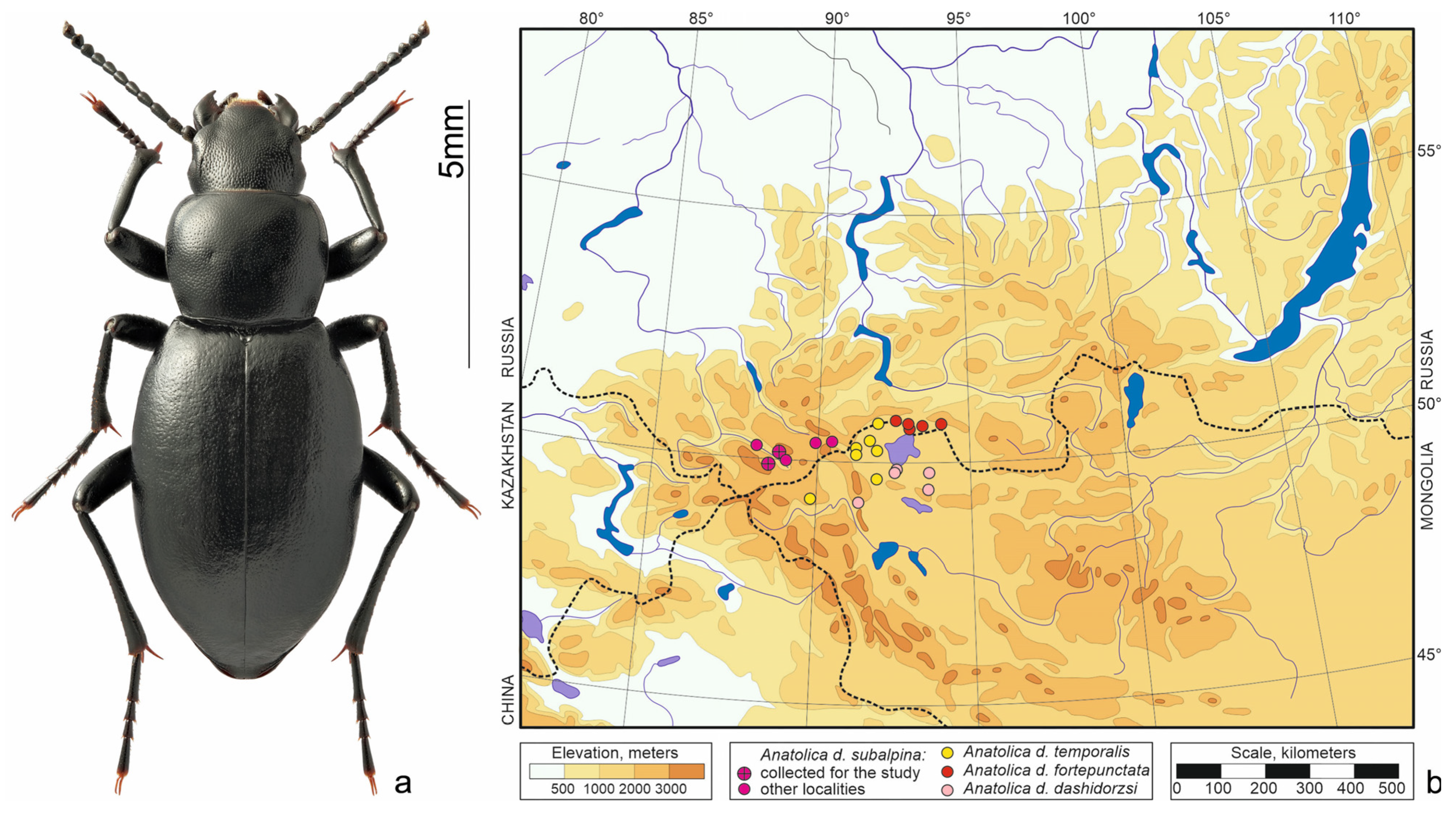 Insects 15 00064 g002