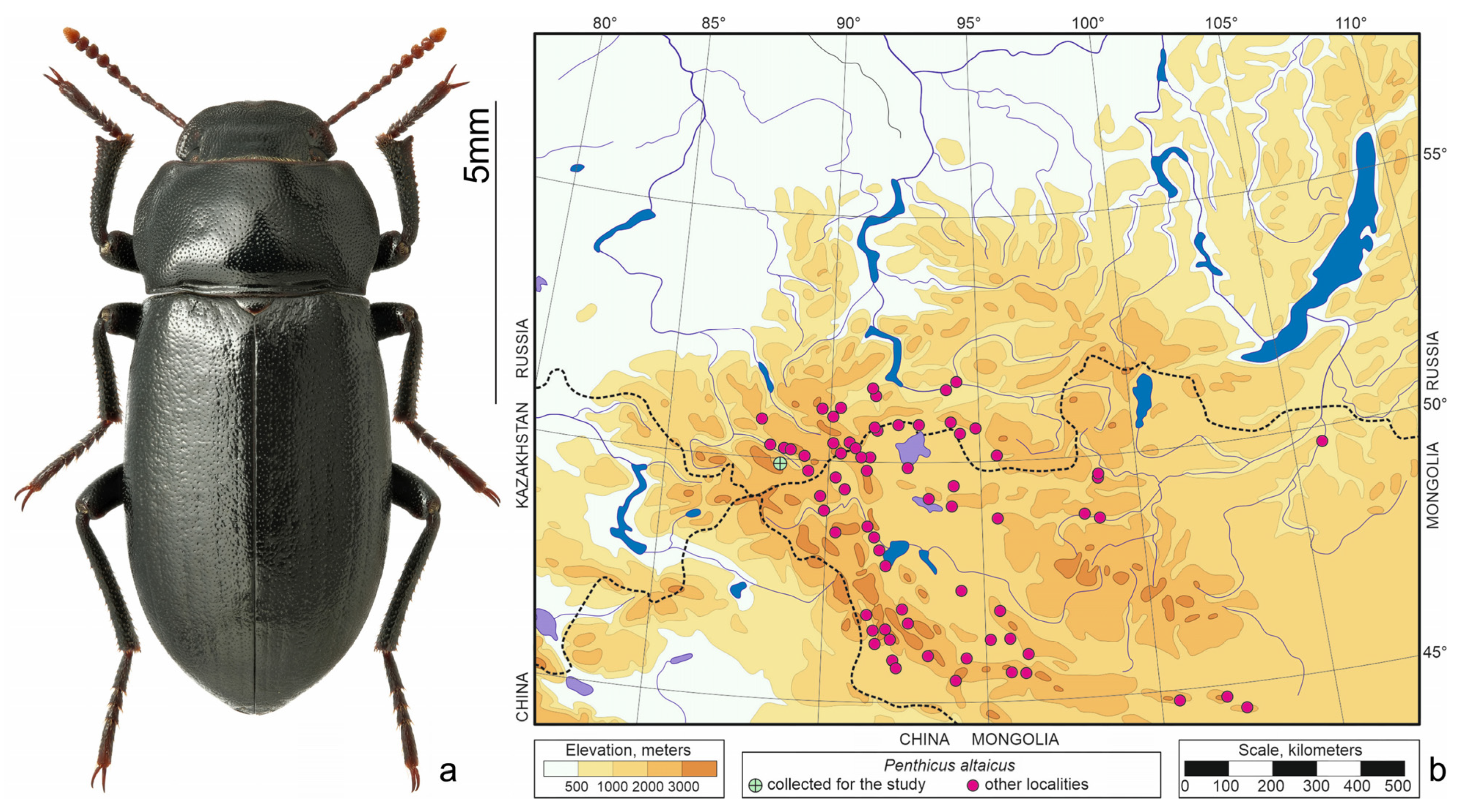 Insects 15 00064 g004