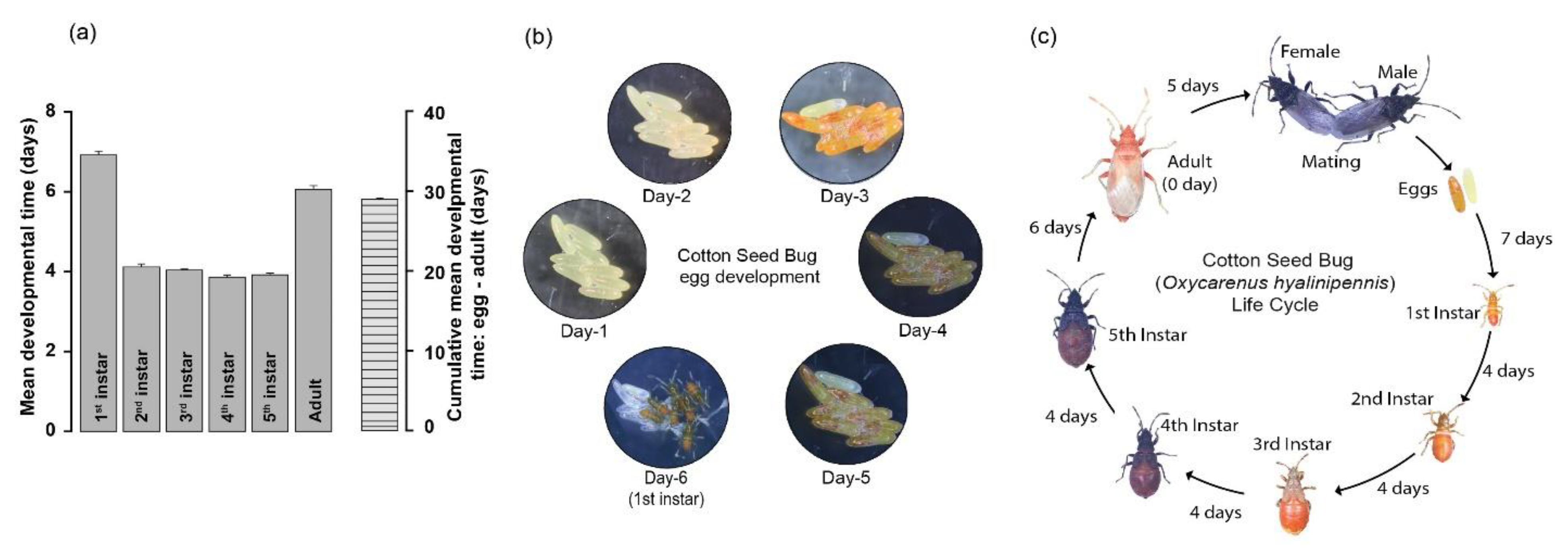 Insects 15 00065 g003