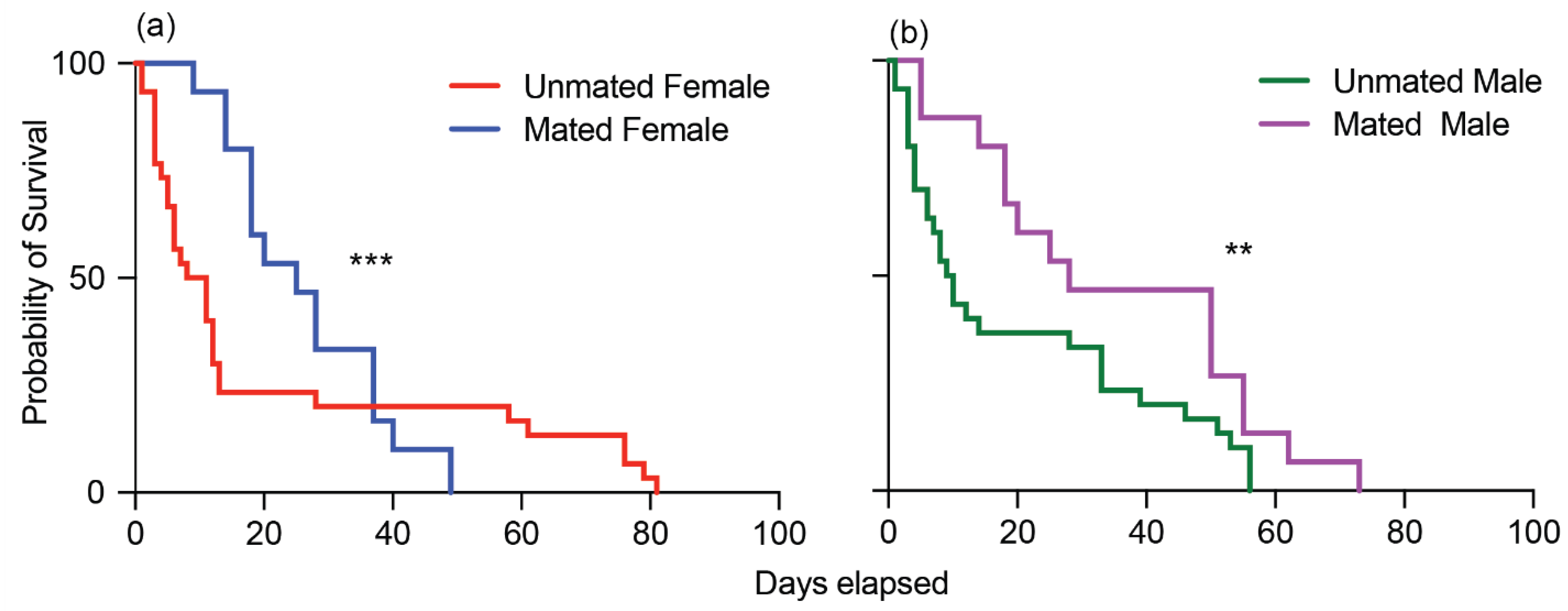 Insects 15 00065 g004