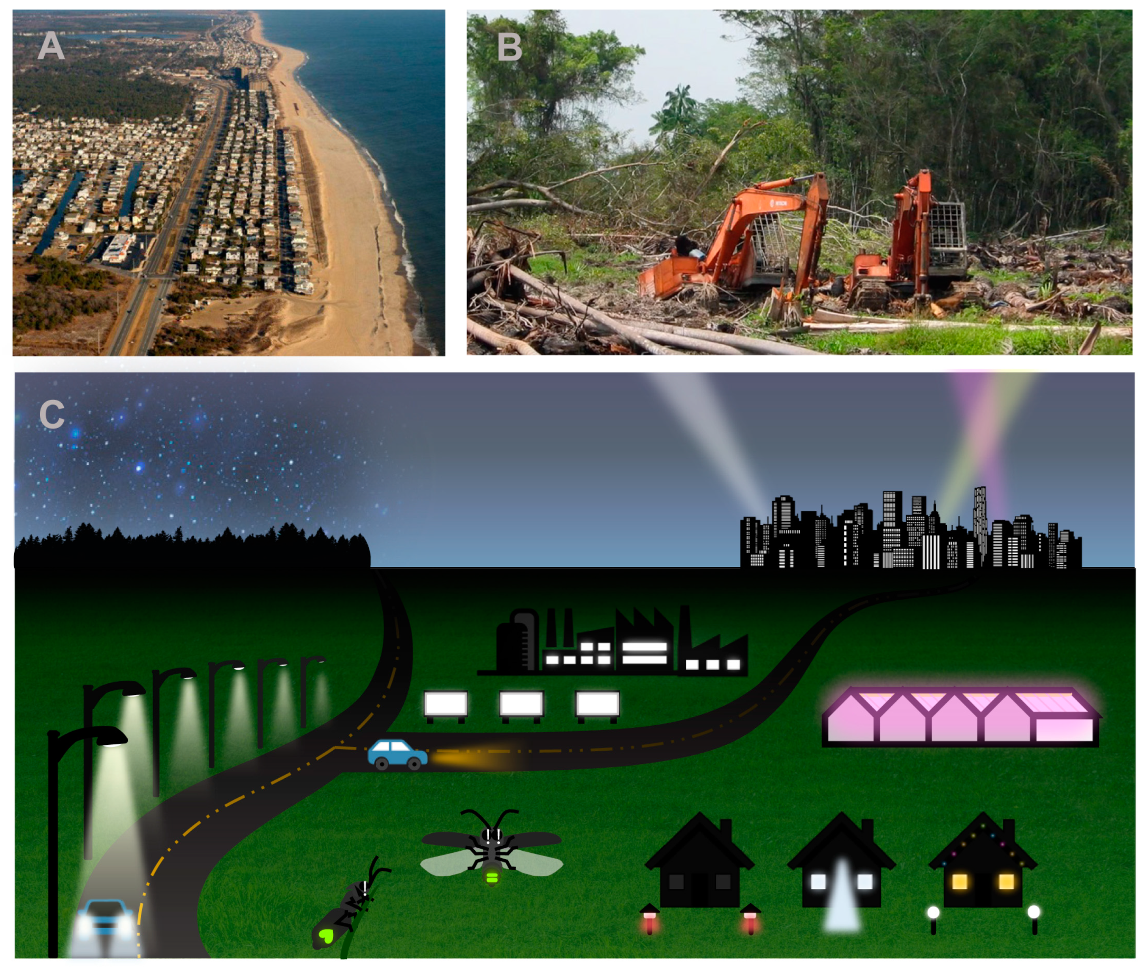 Insects 15 00071 g002