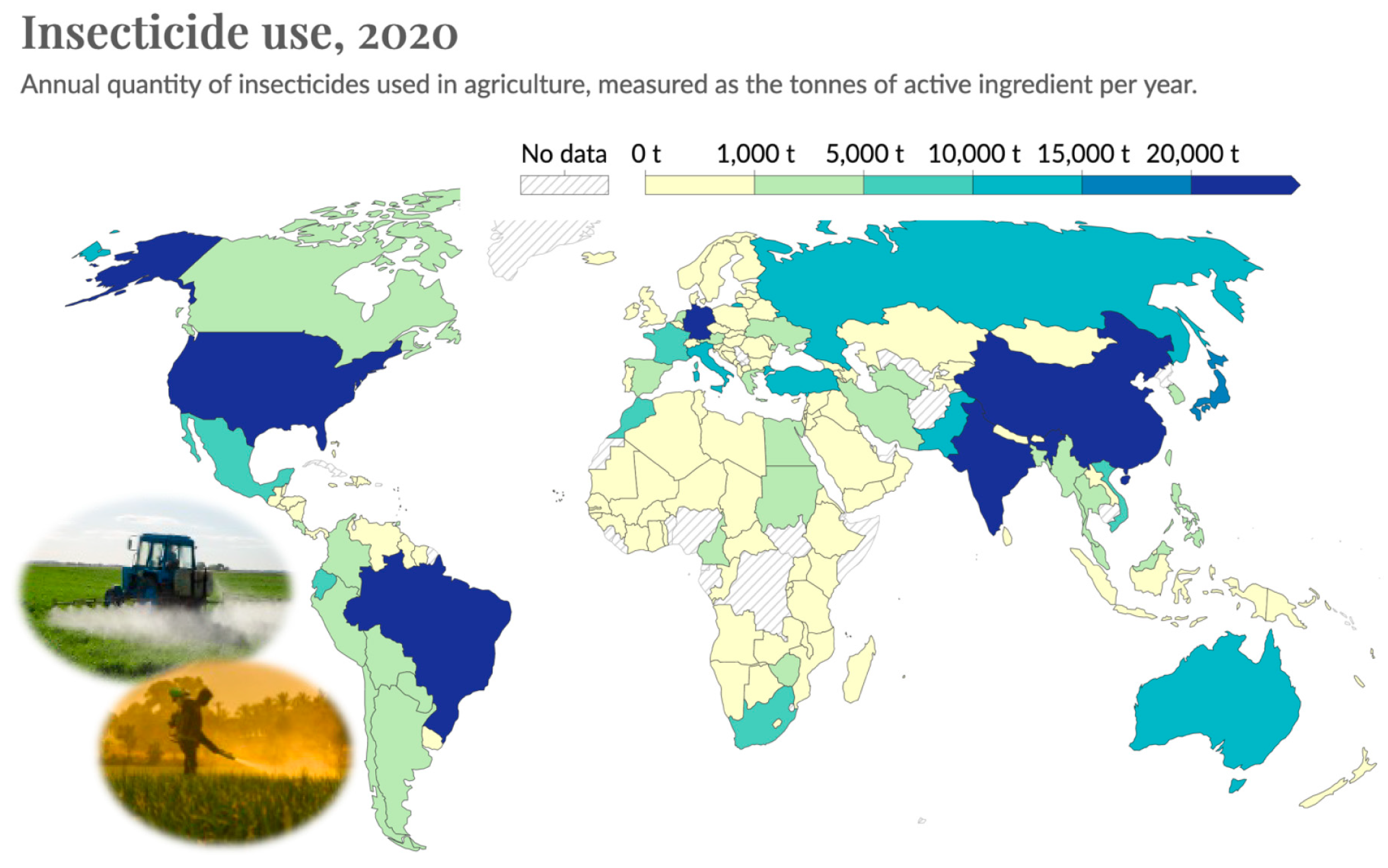 Insects 15 00071 g004