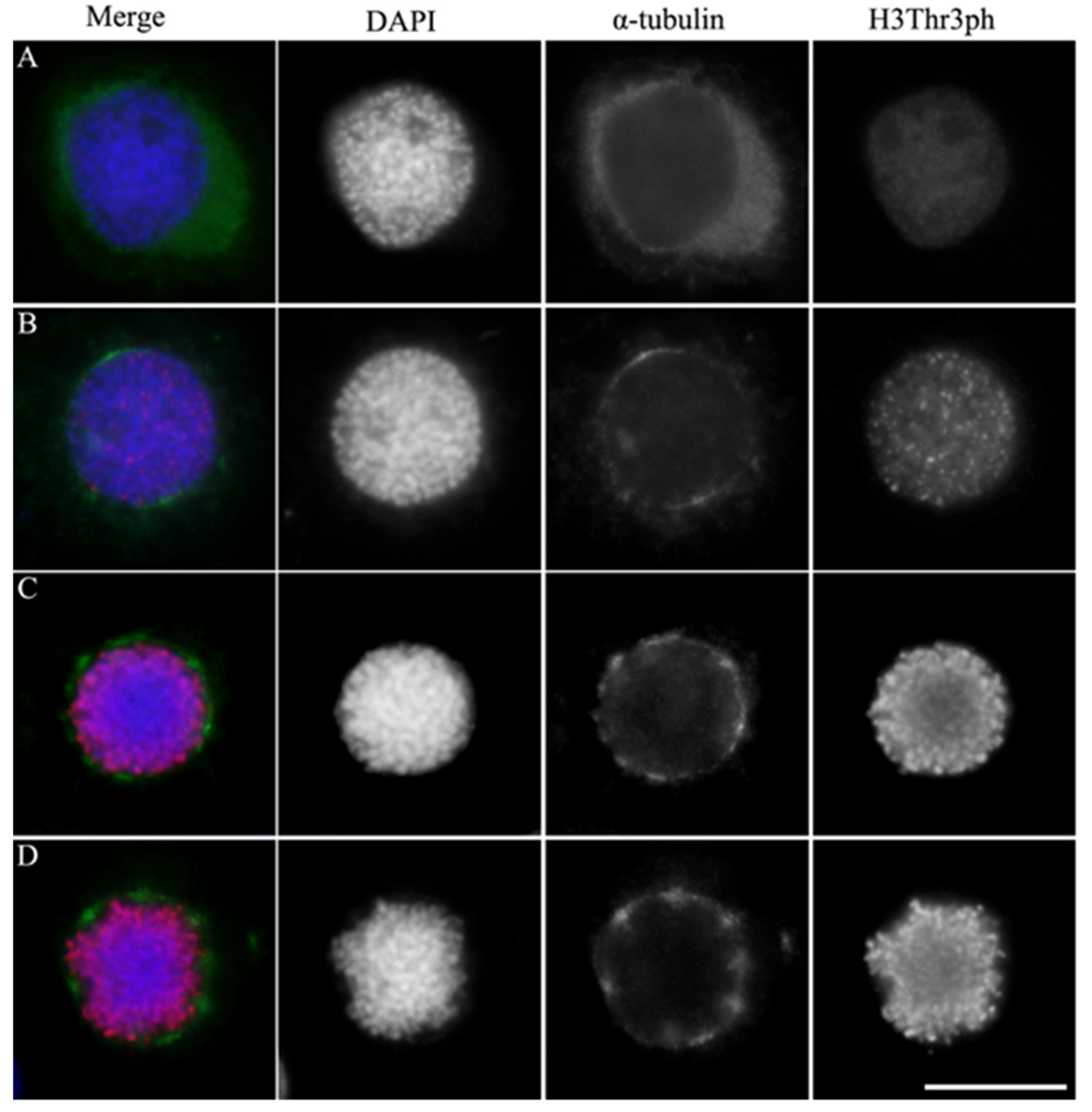 Insects 15 00072 g001