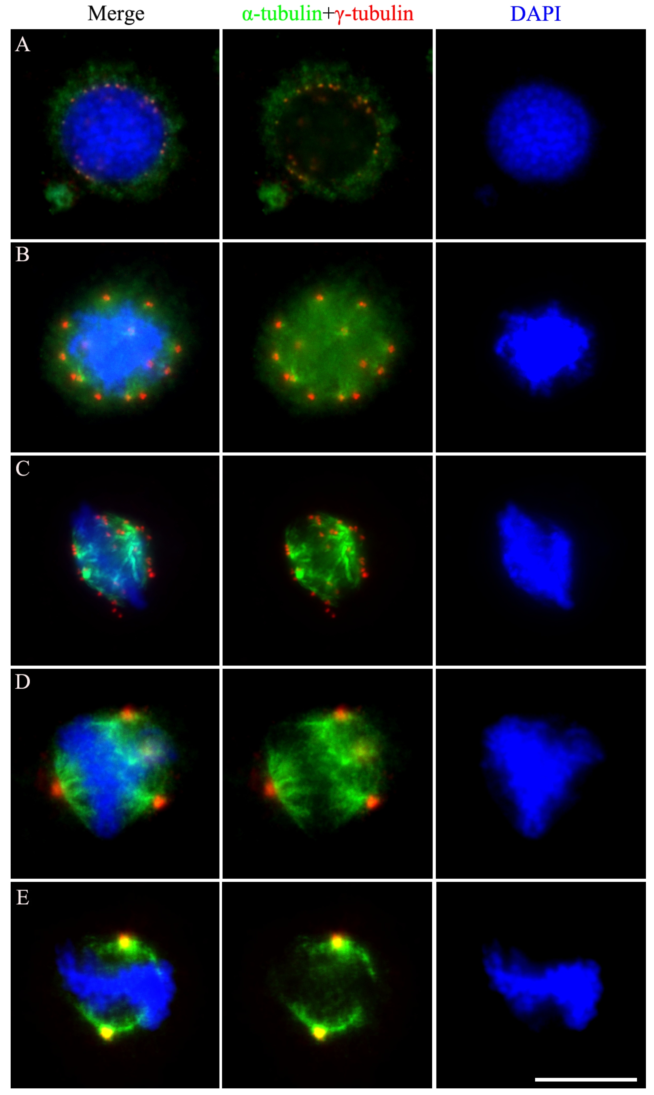 Insects 15 00072 g002