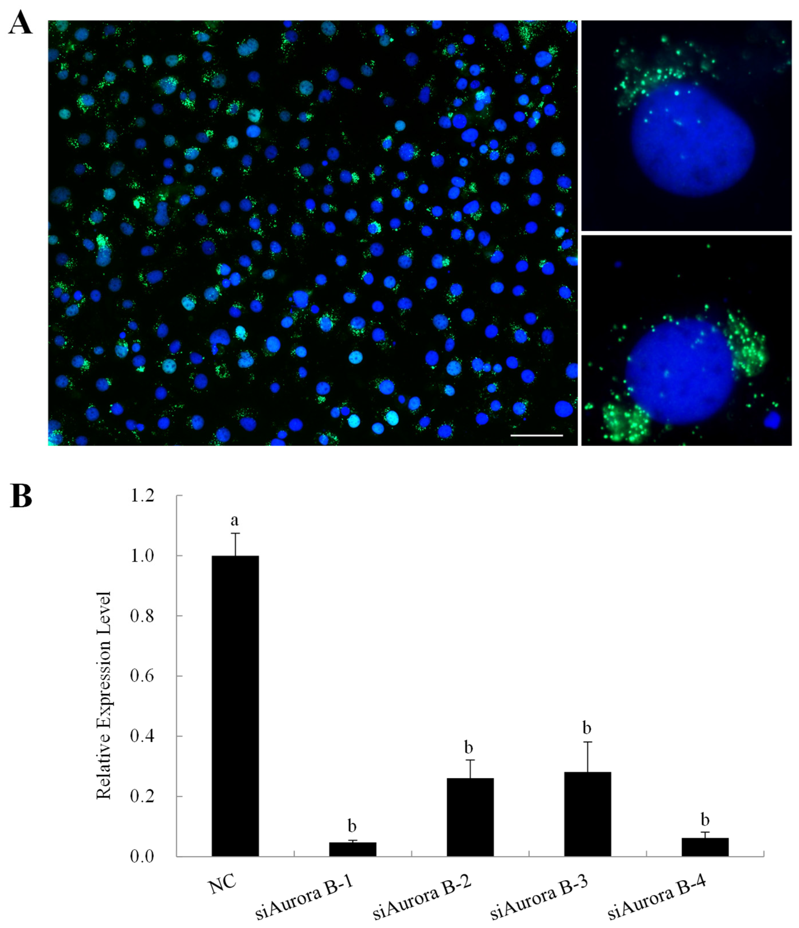 Insects 15 00072 g003