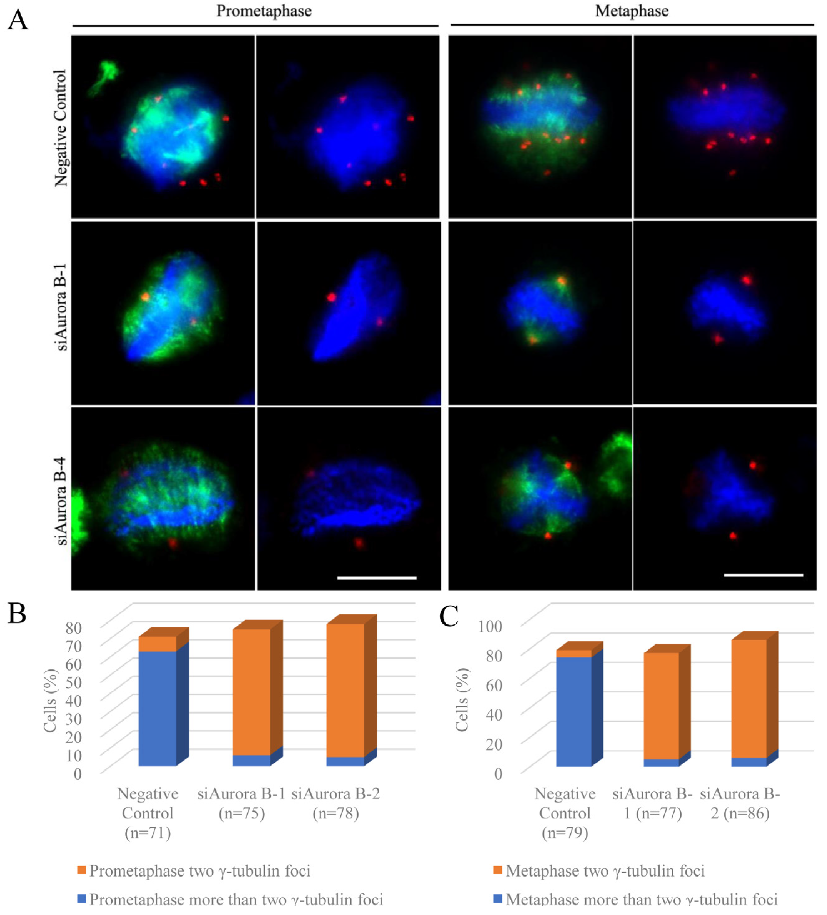 Insects 15 00072 g004