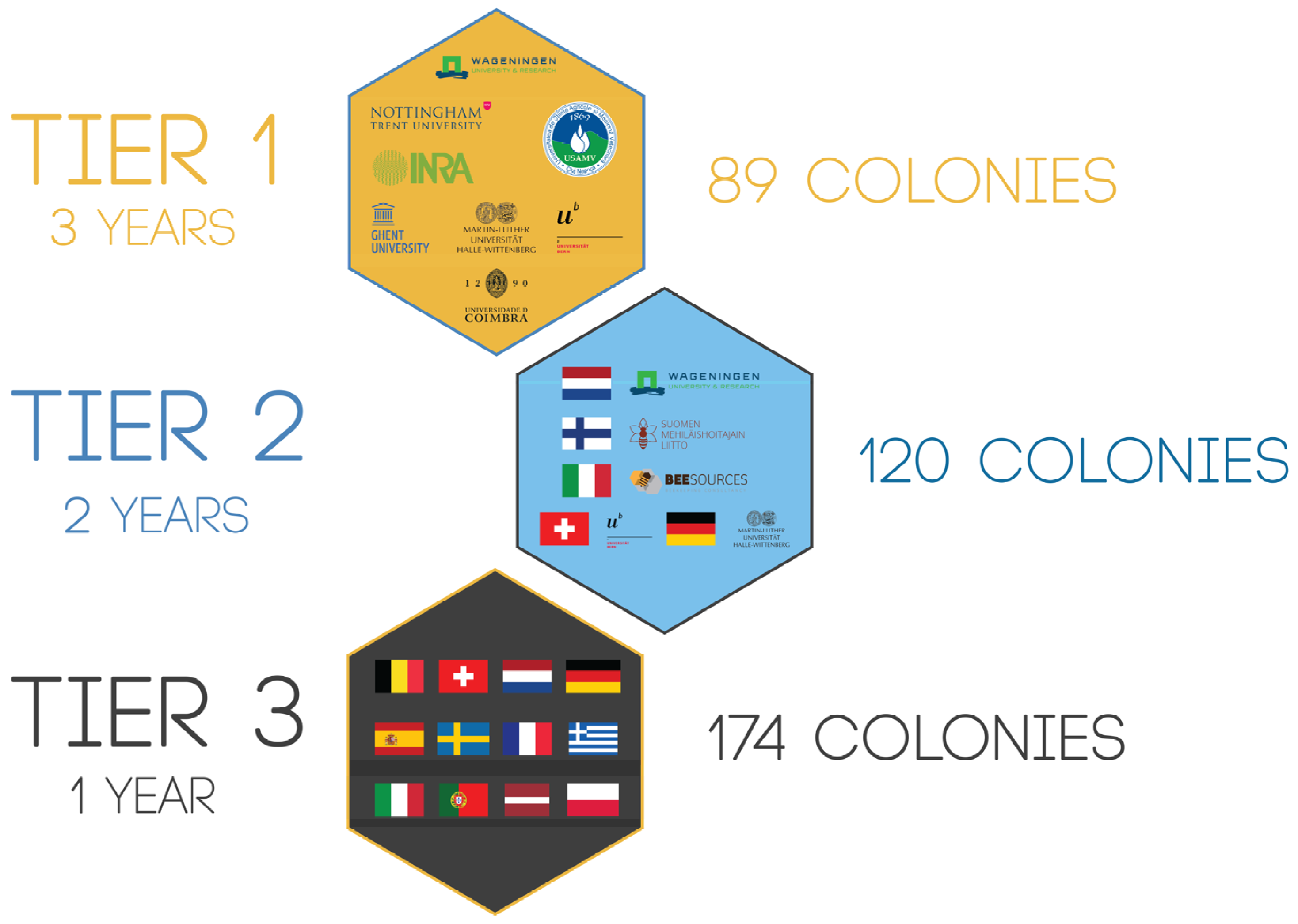 Insects 15 00076 g003