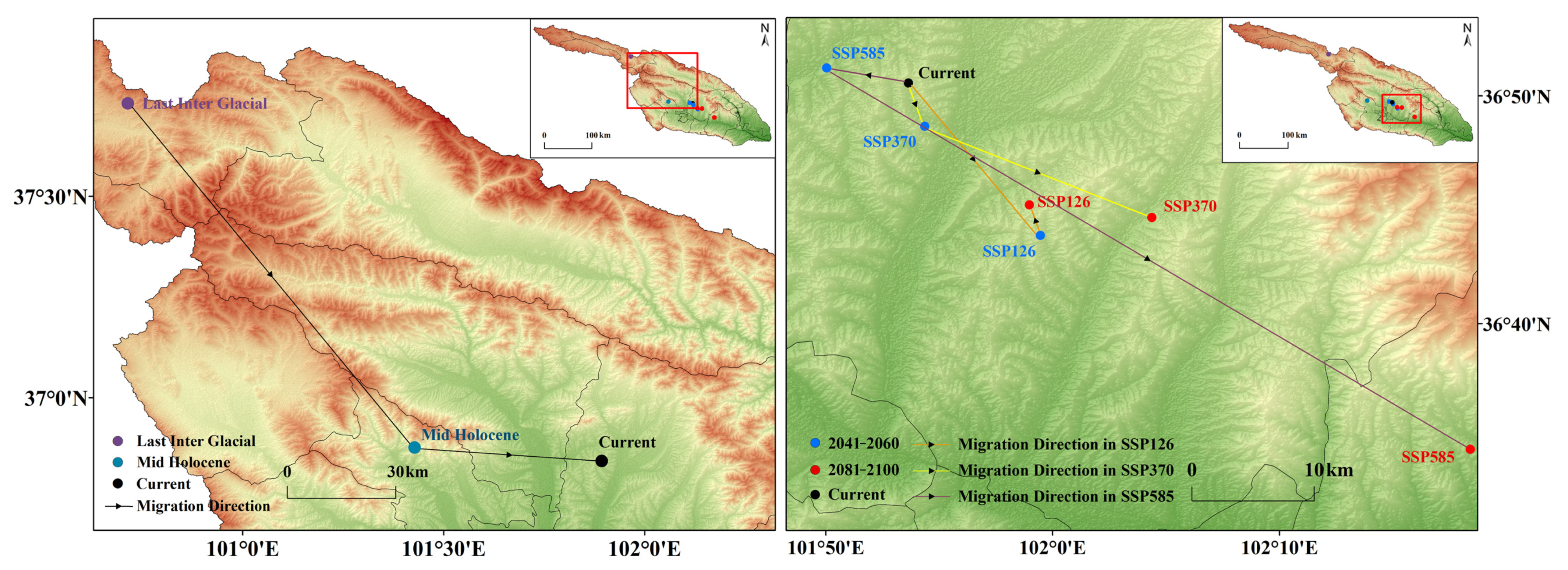 Insects 15 00081 g009