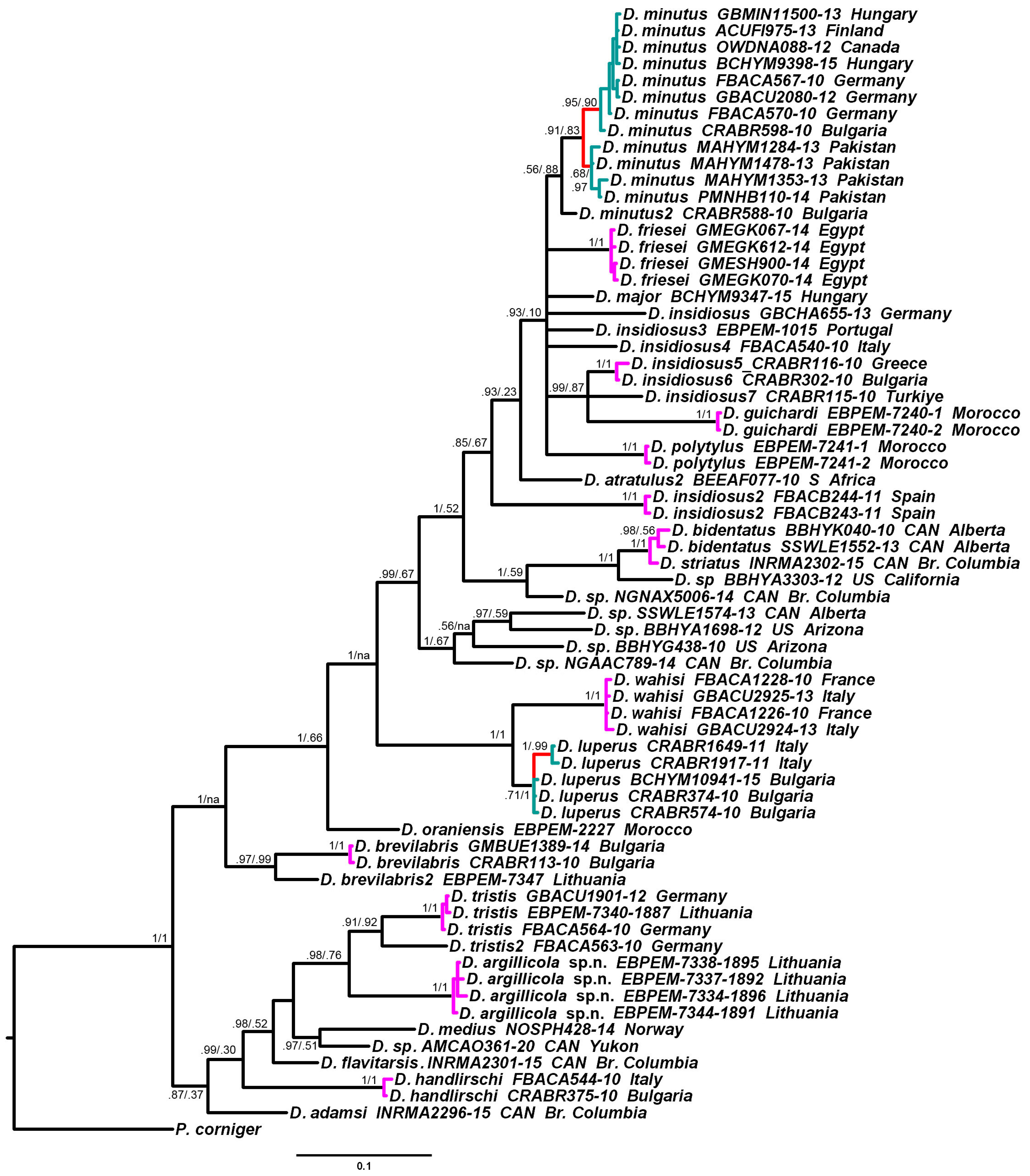 Insects 15 00086 g004