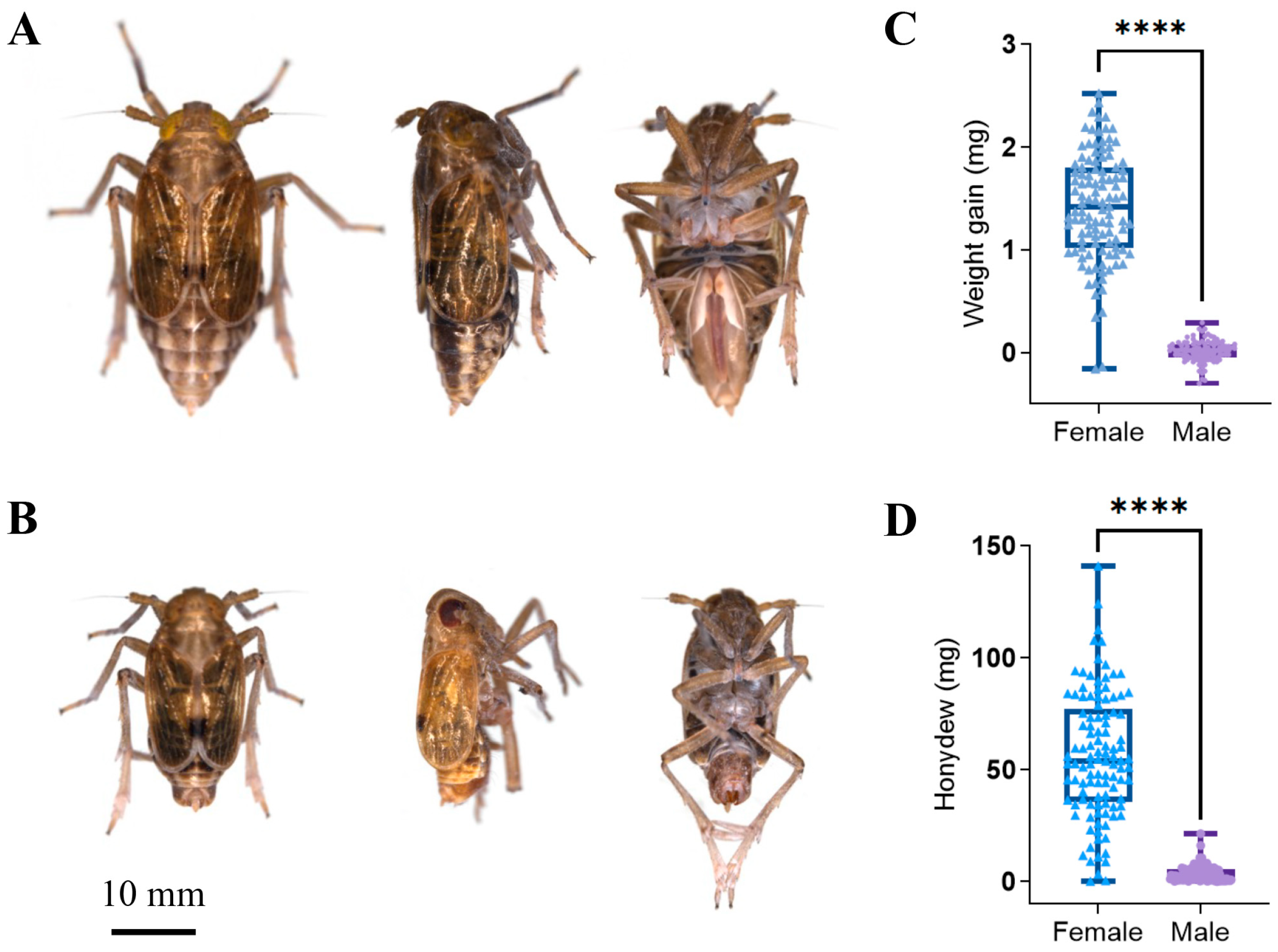 Insects 15 00087 g005
