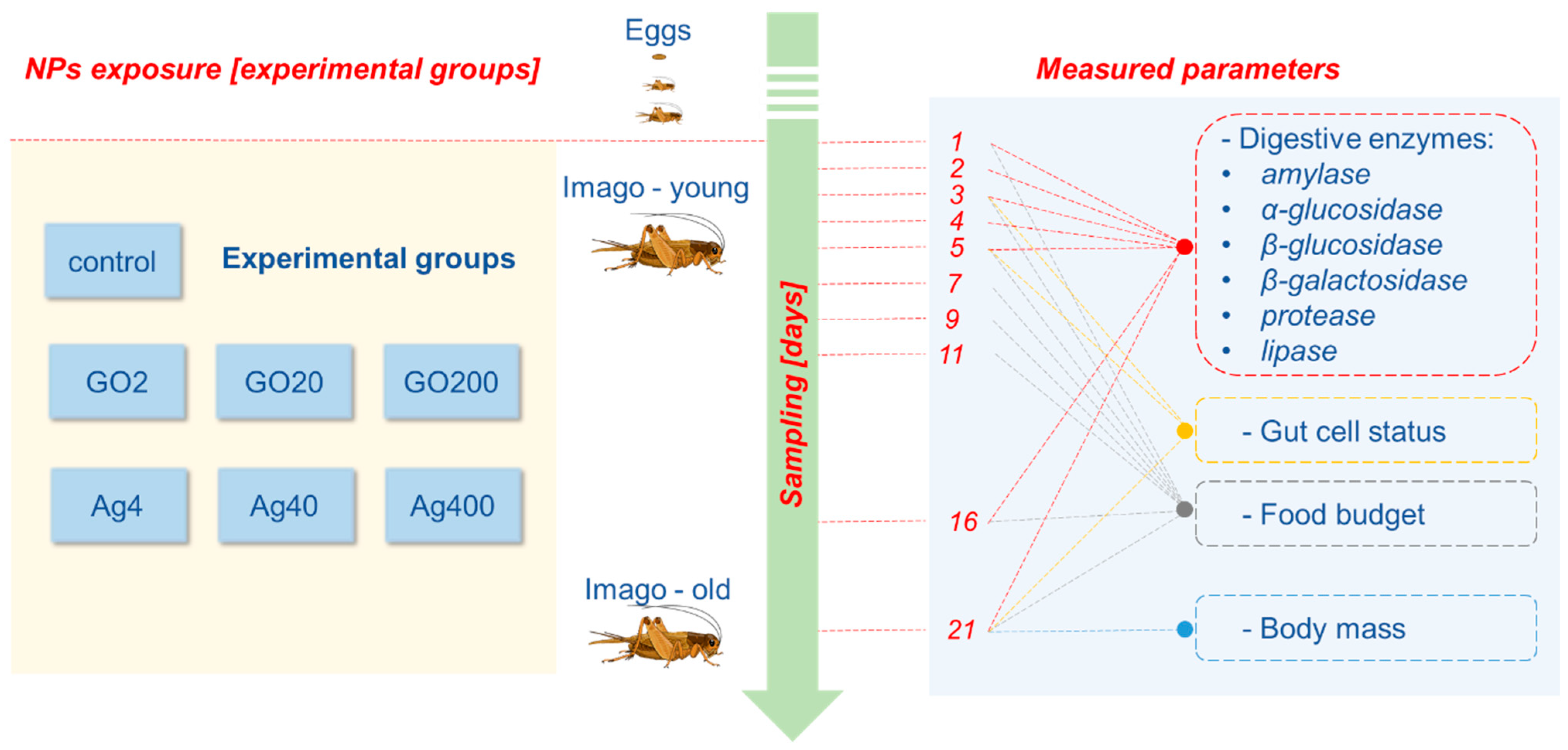 Insects 15 00089 sch001