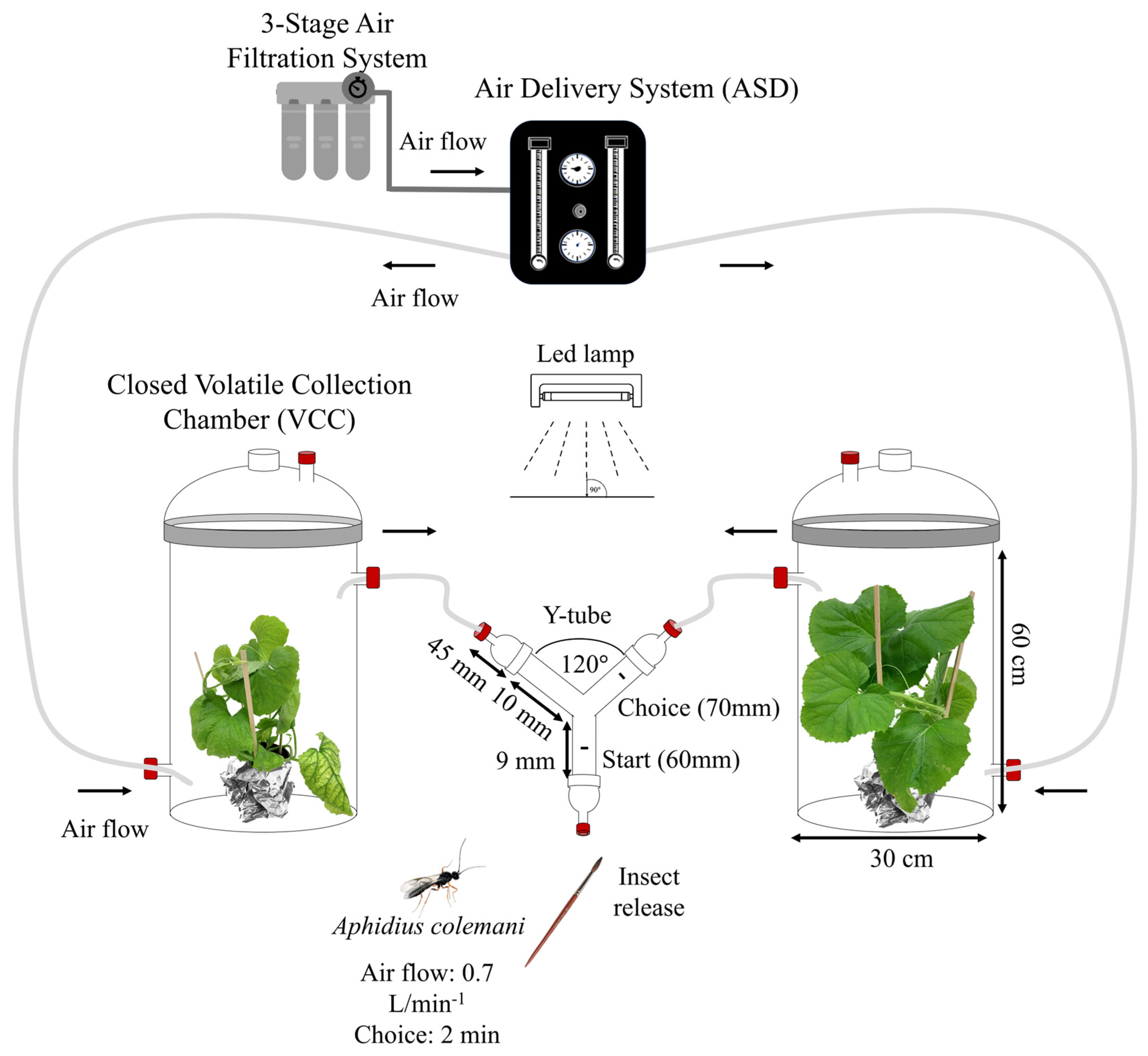Insects 15 00092 g001