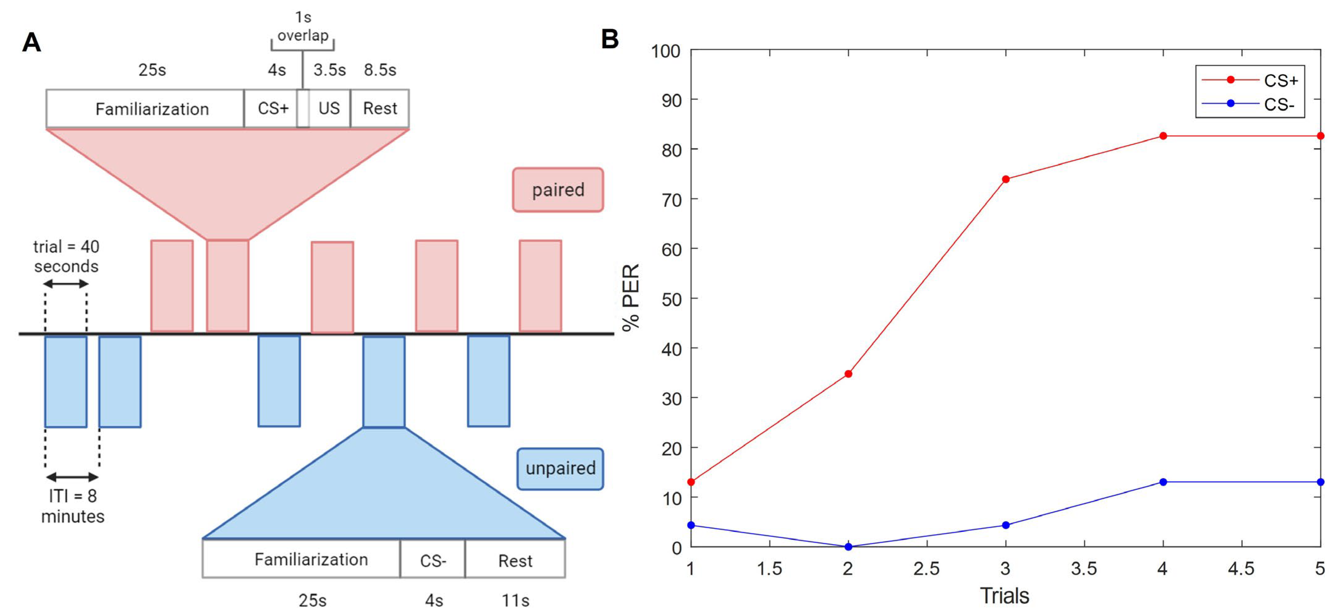 Insects 15 00094 g002
