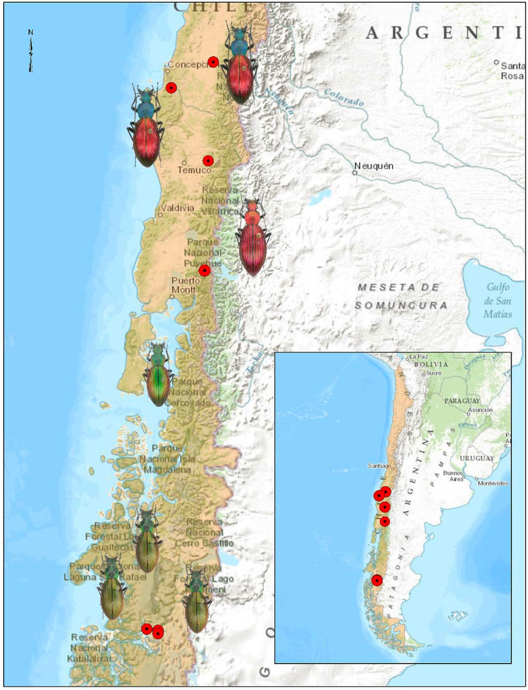 Insects 15 00097 g001