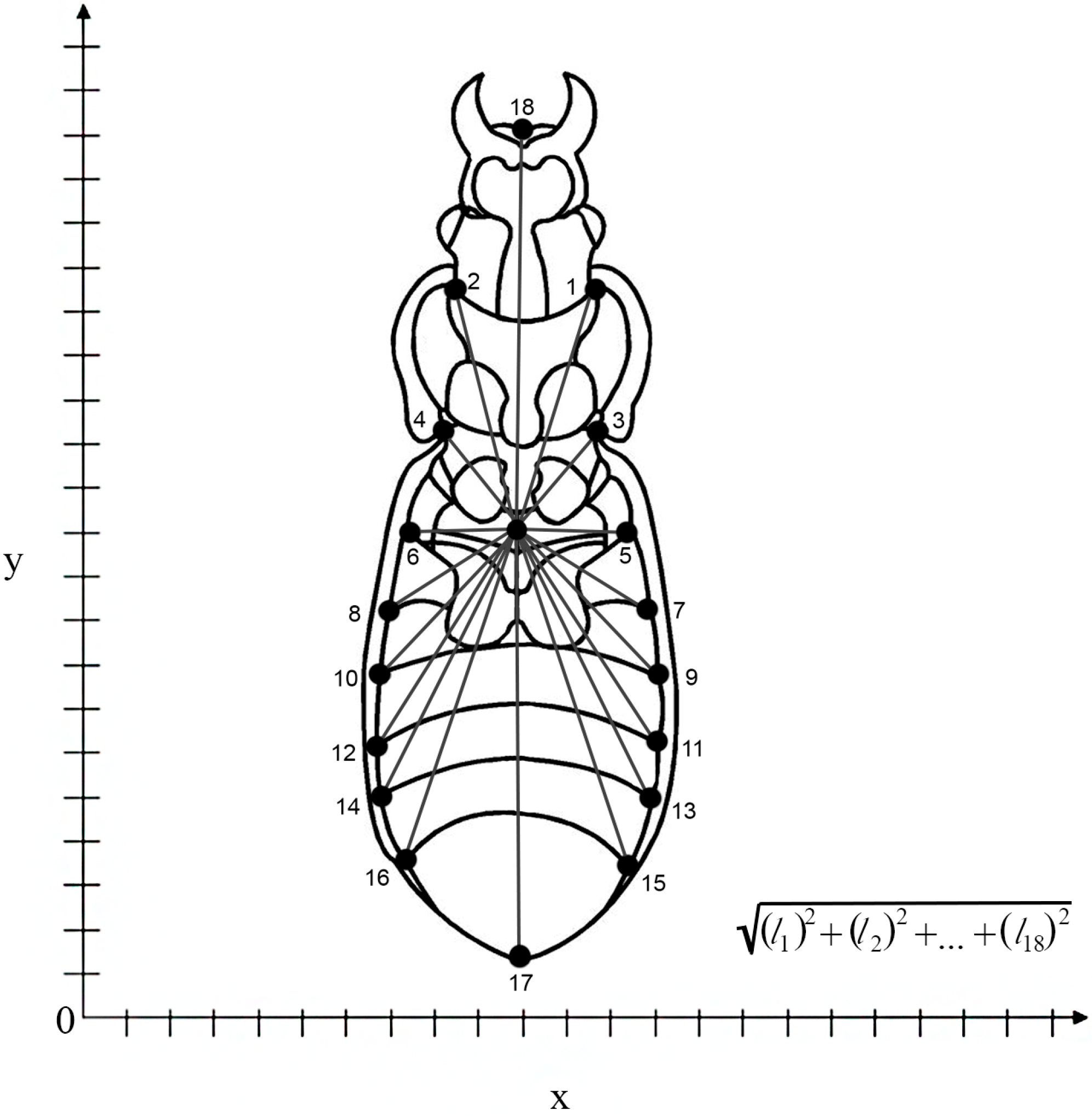 Insects 15 00097 g002