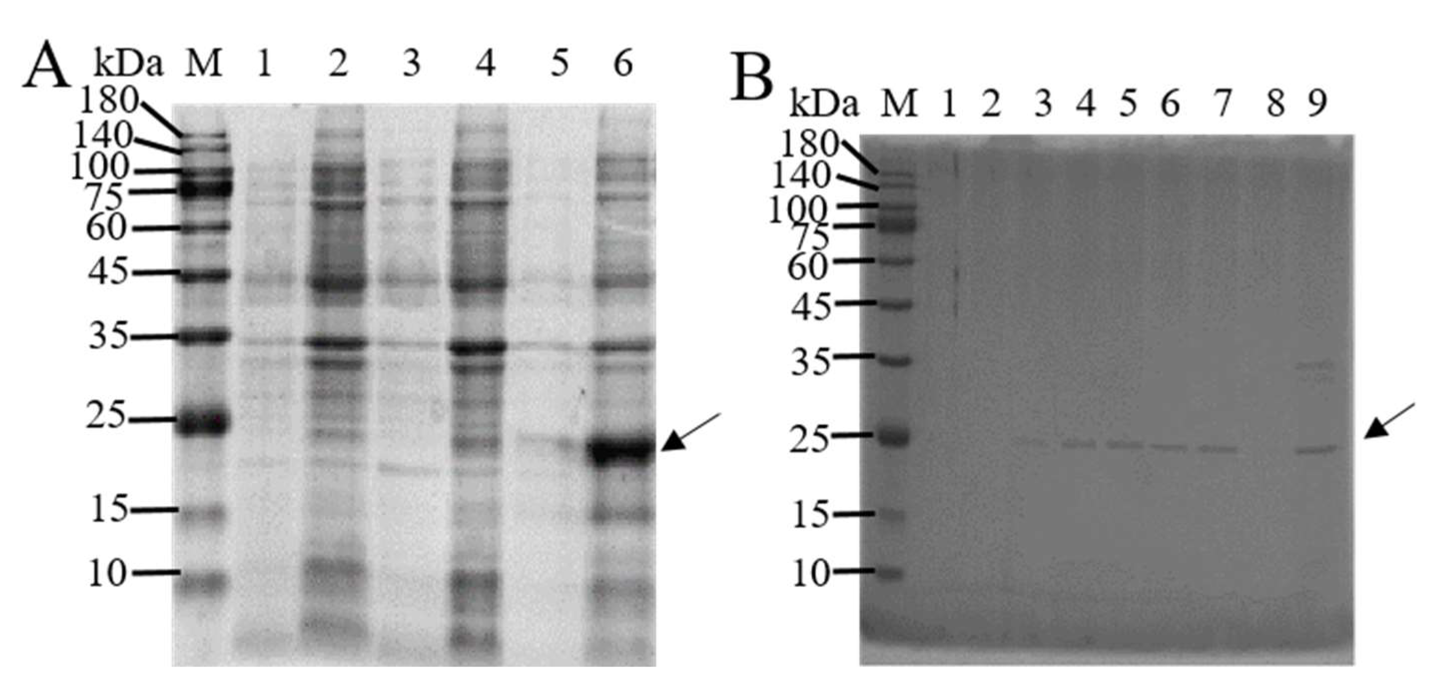 Insects 15 00103 g001