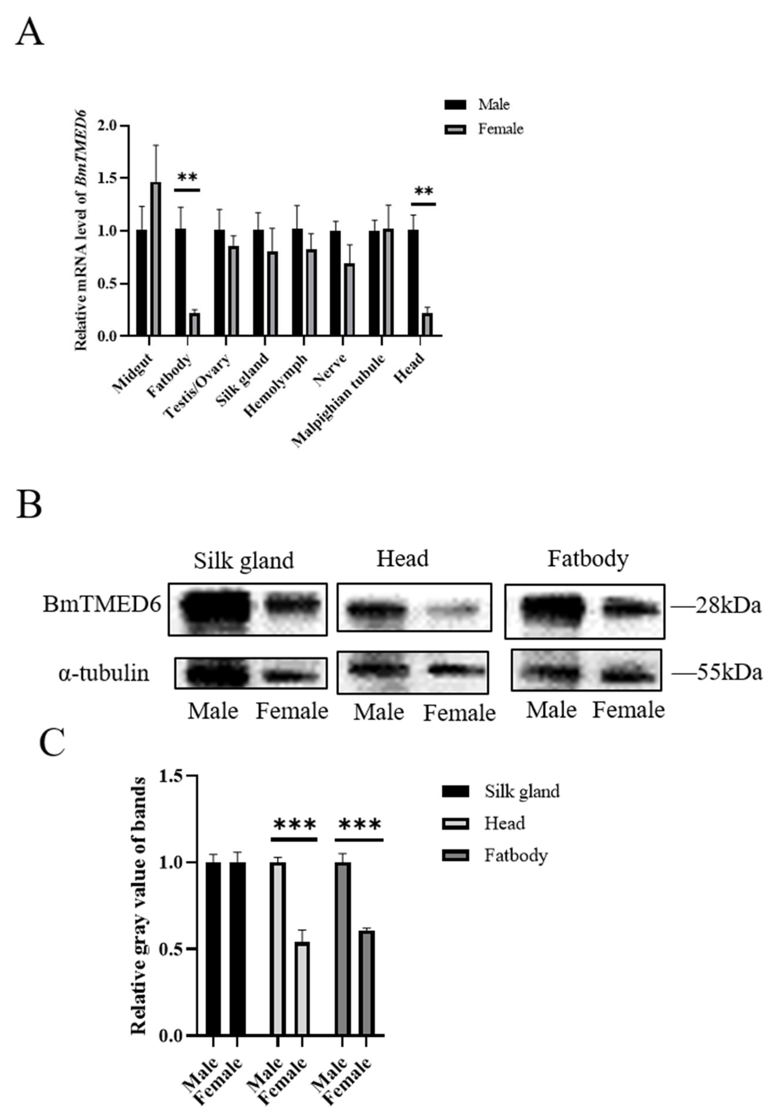 Insects 15 00103 g002