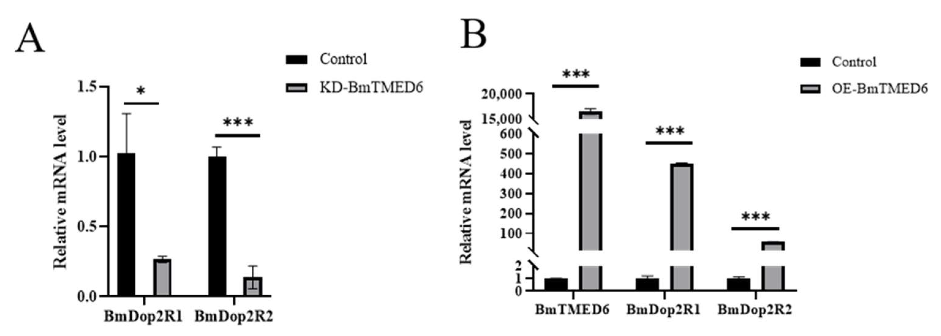 Insects 15 00103 g005