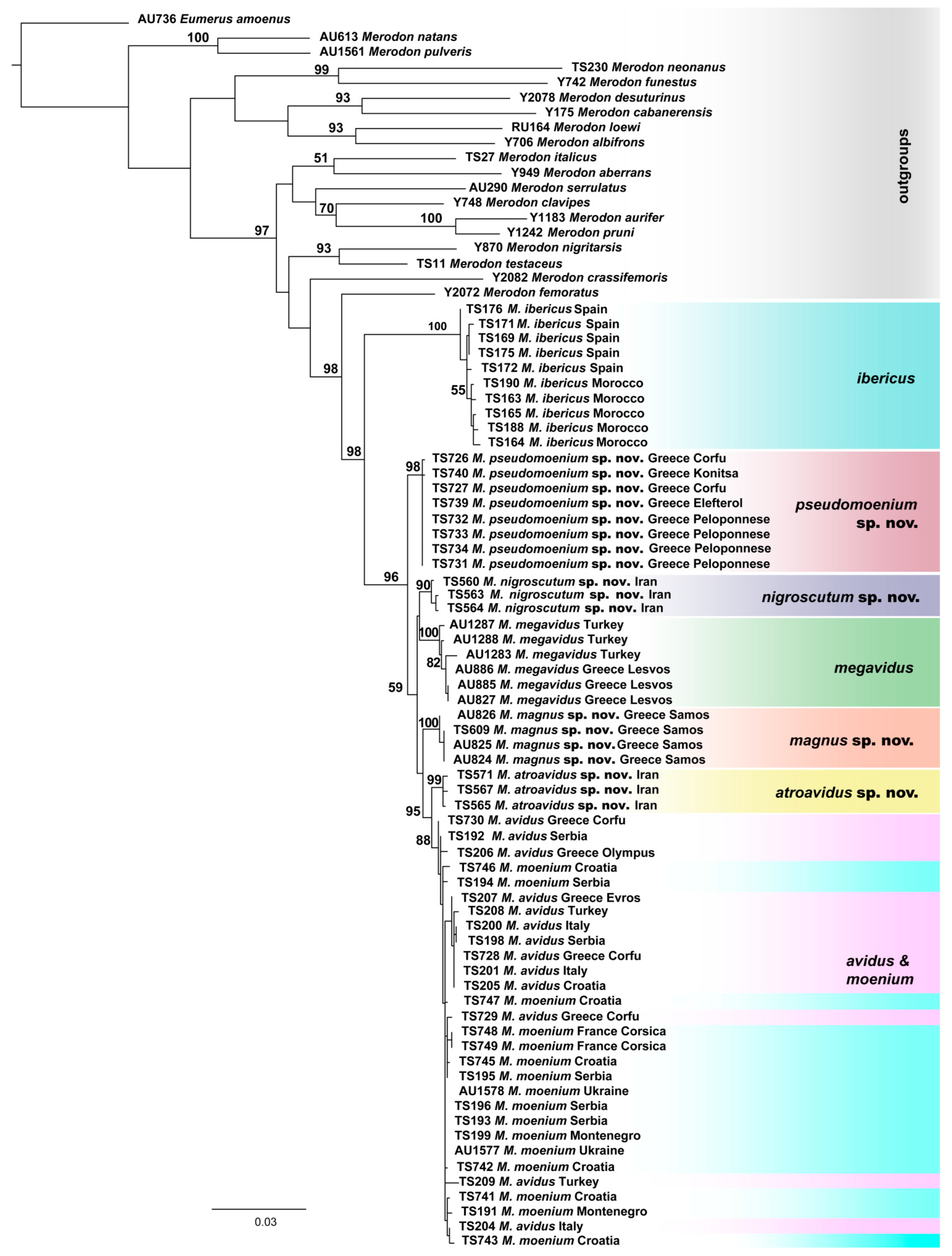 Insects 15 00105 g003