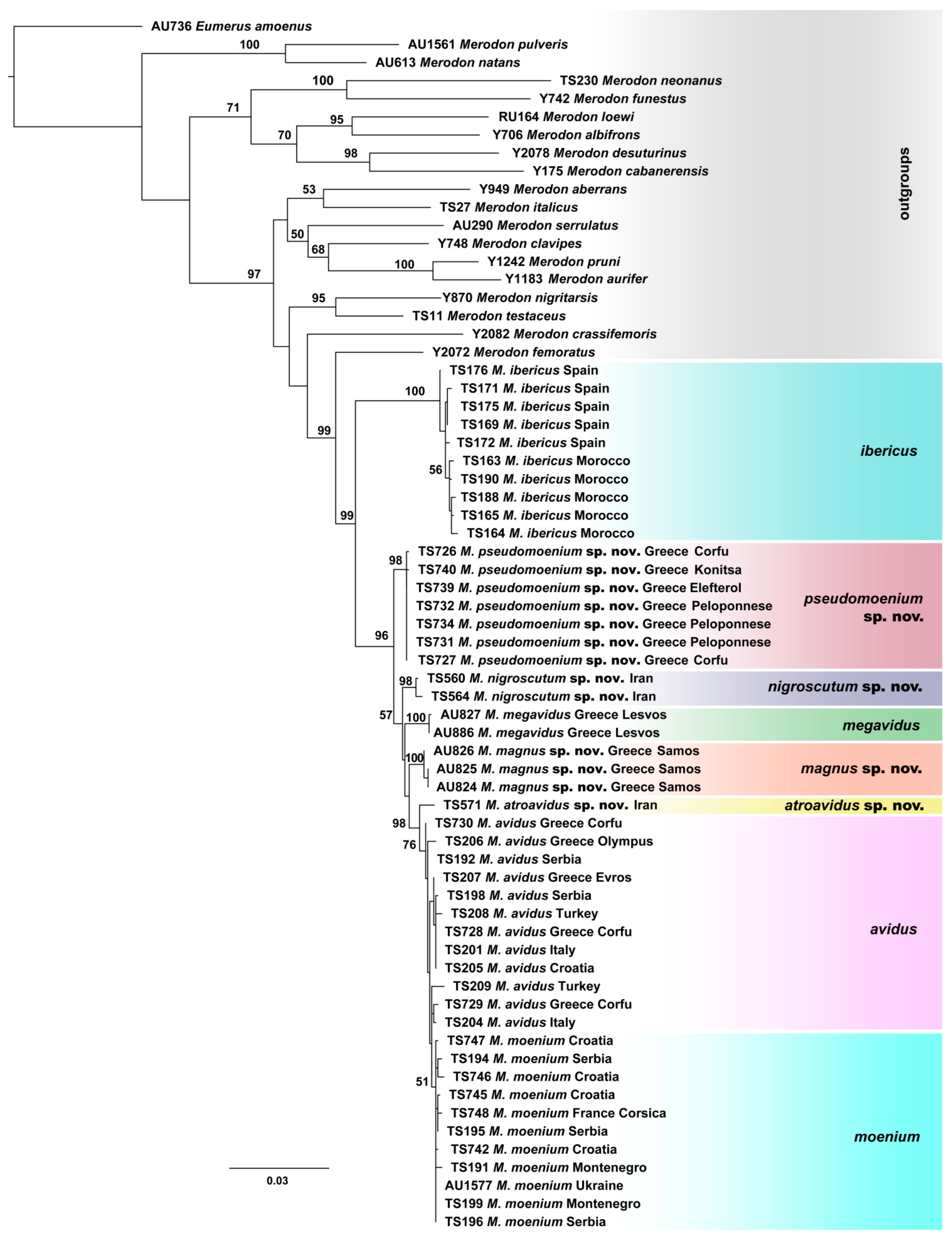 Insects 15 00105 g004