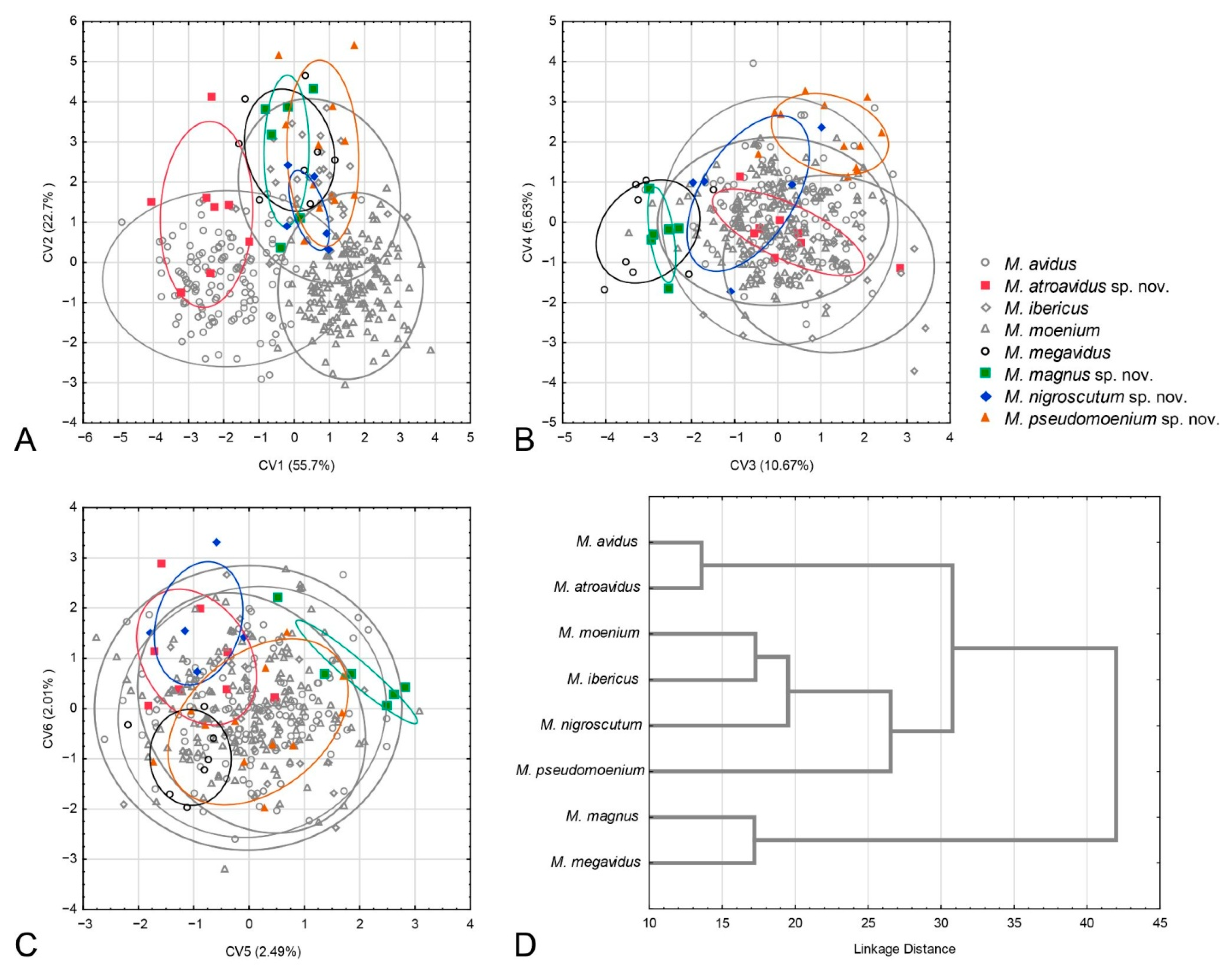 Insects 15 00105 g005