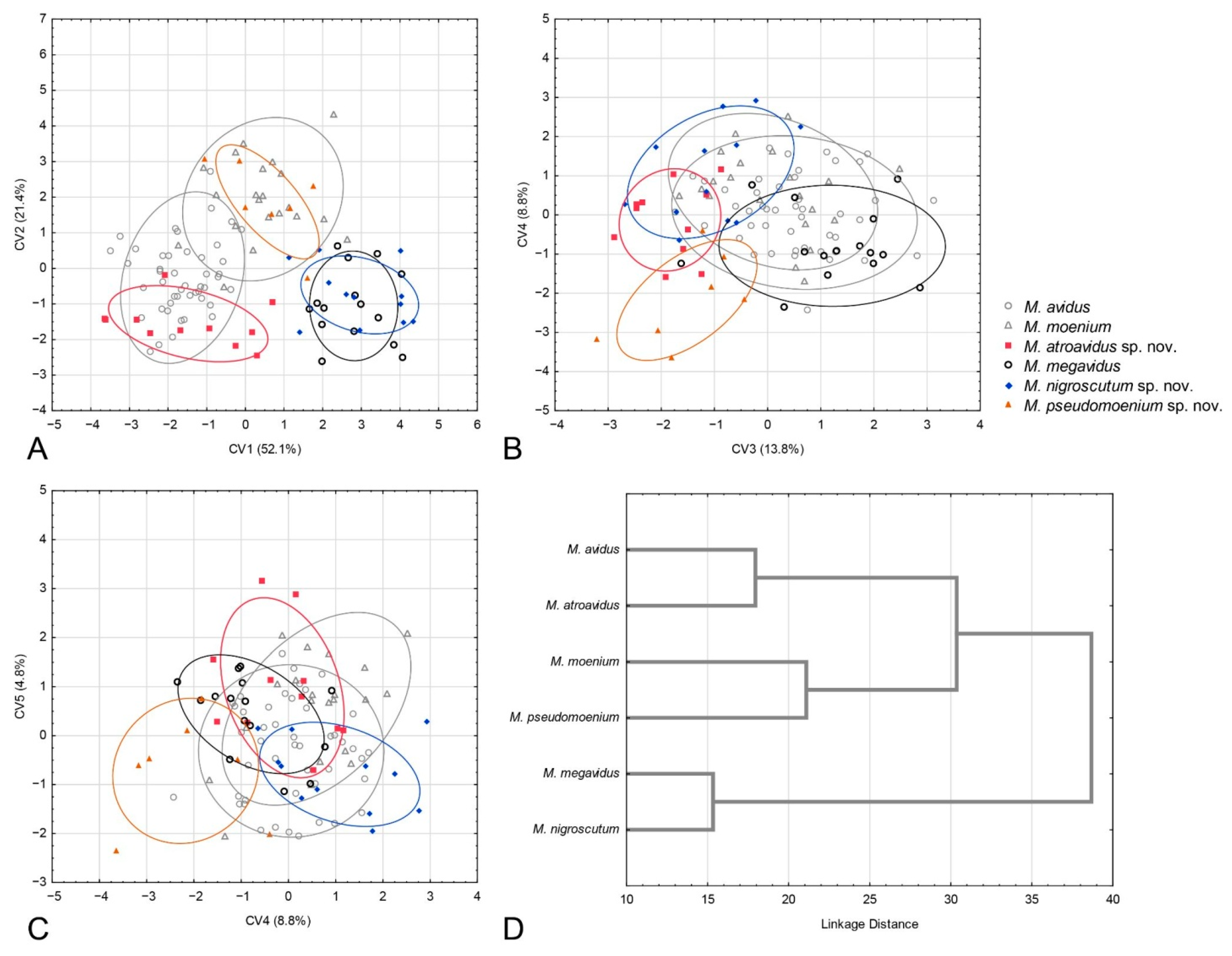 Insects 15 00105 g006