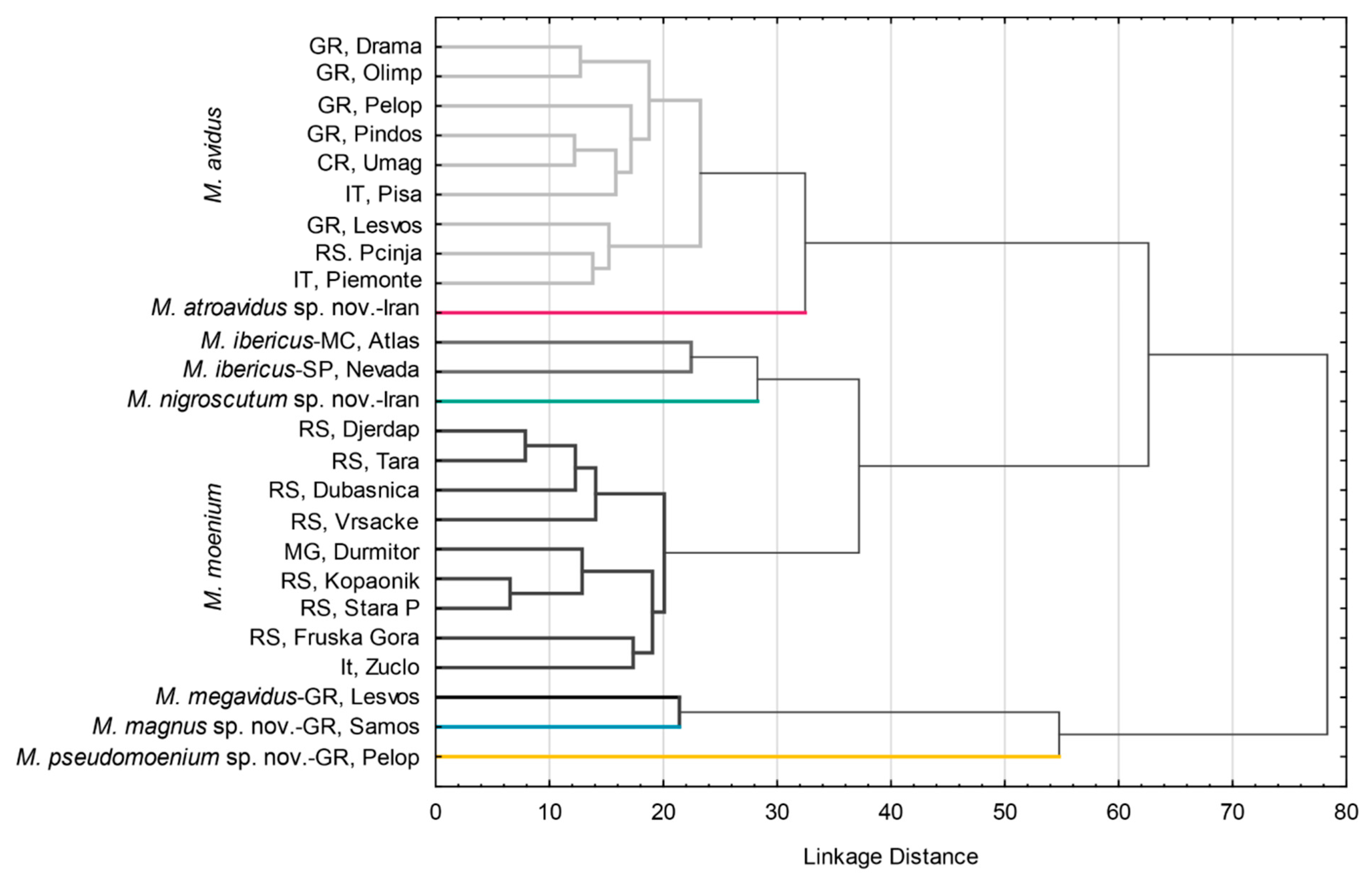 Insects 15 00105 g007