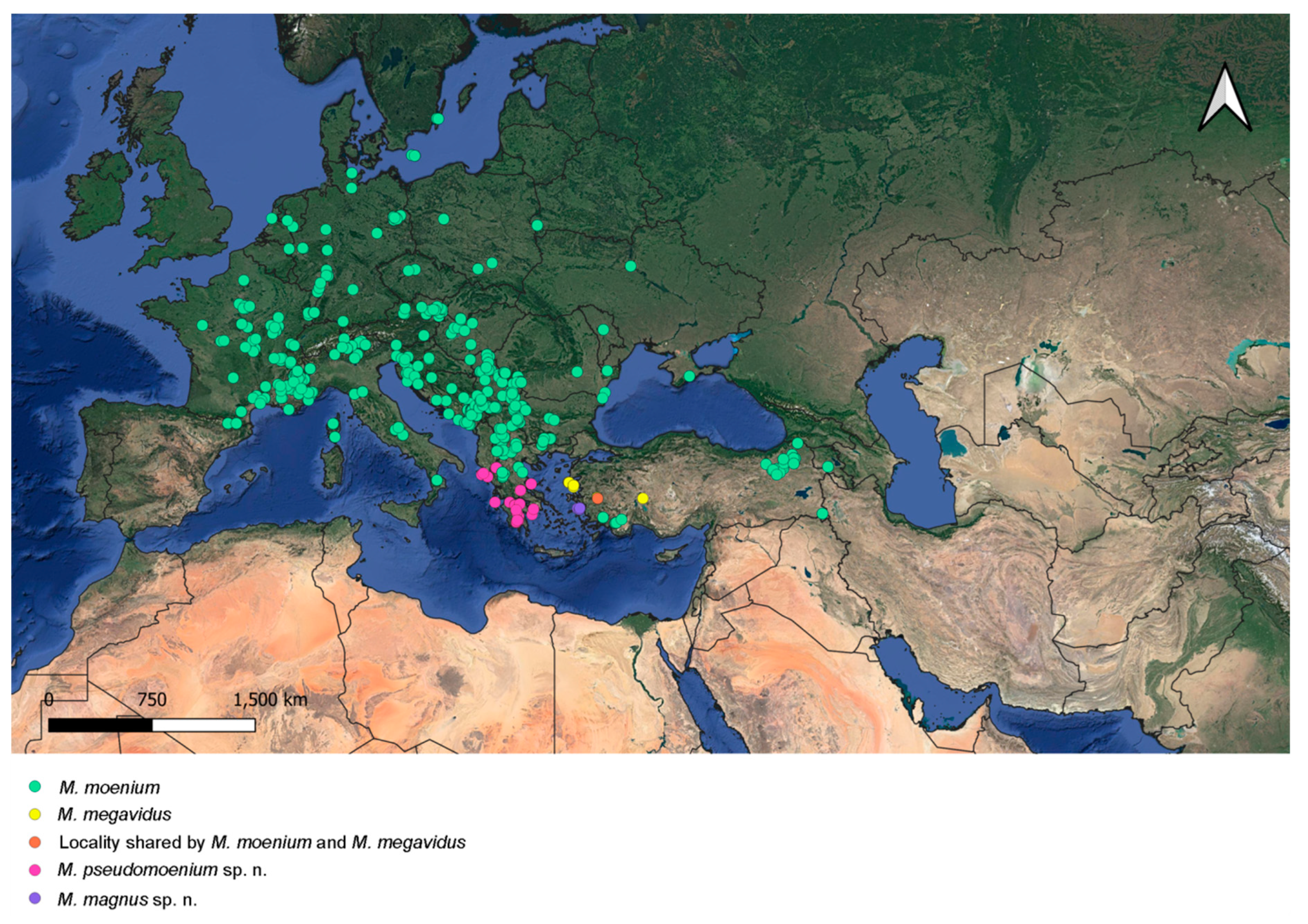 Insects 15 00105 g019