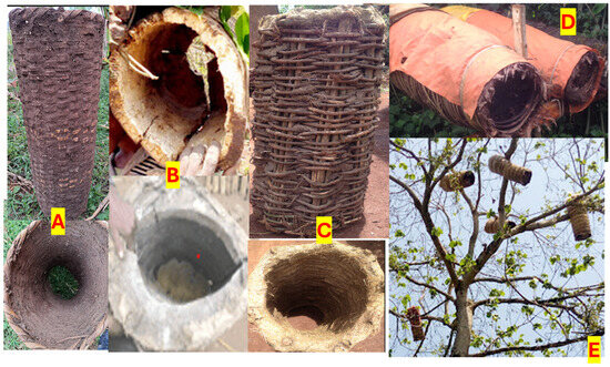 System Mapping of the Production and Value Chain to Explore Beekeeping ...