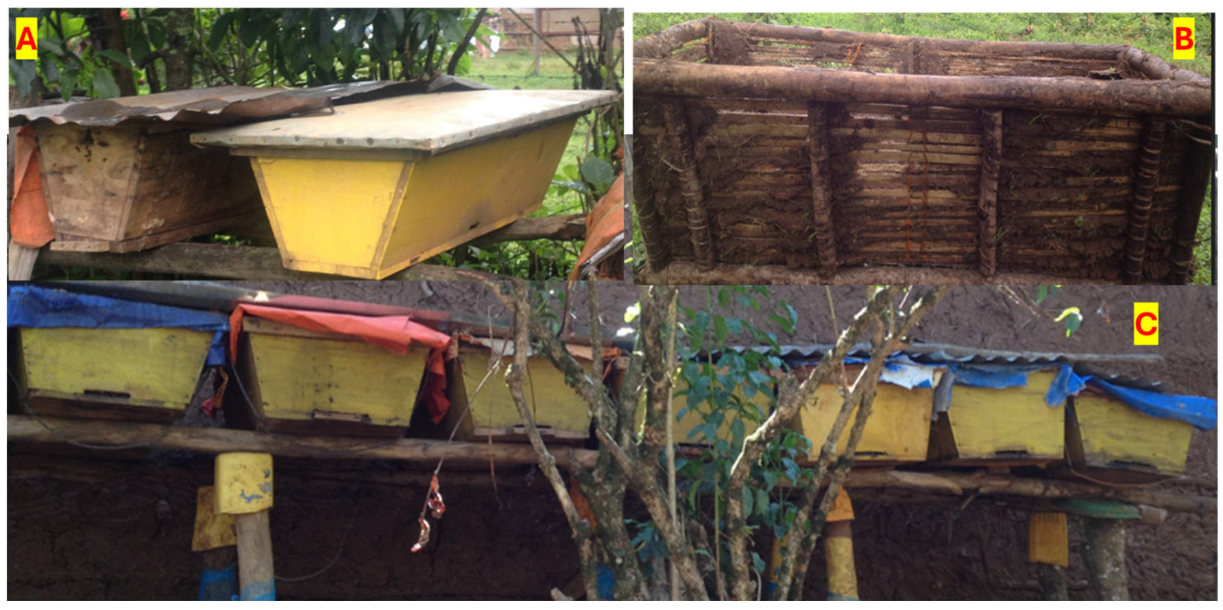 Insects 15 00106 g003