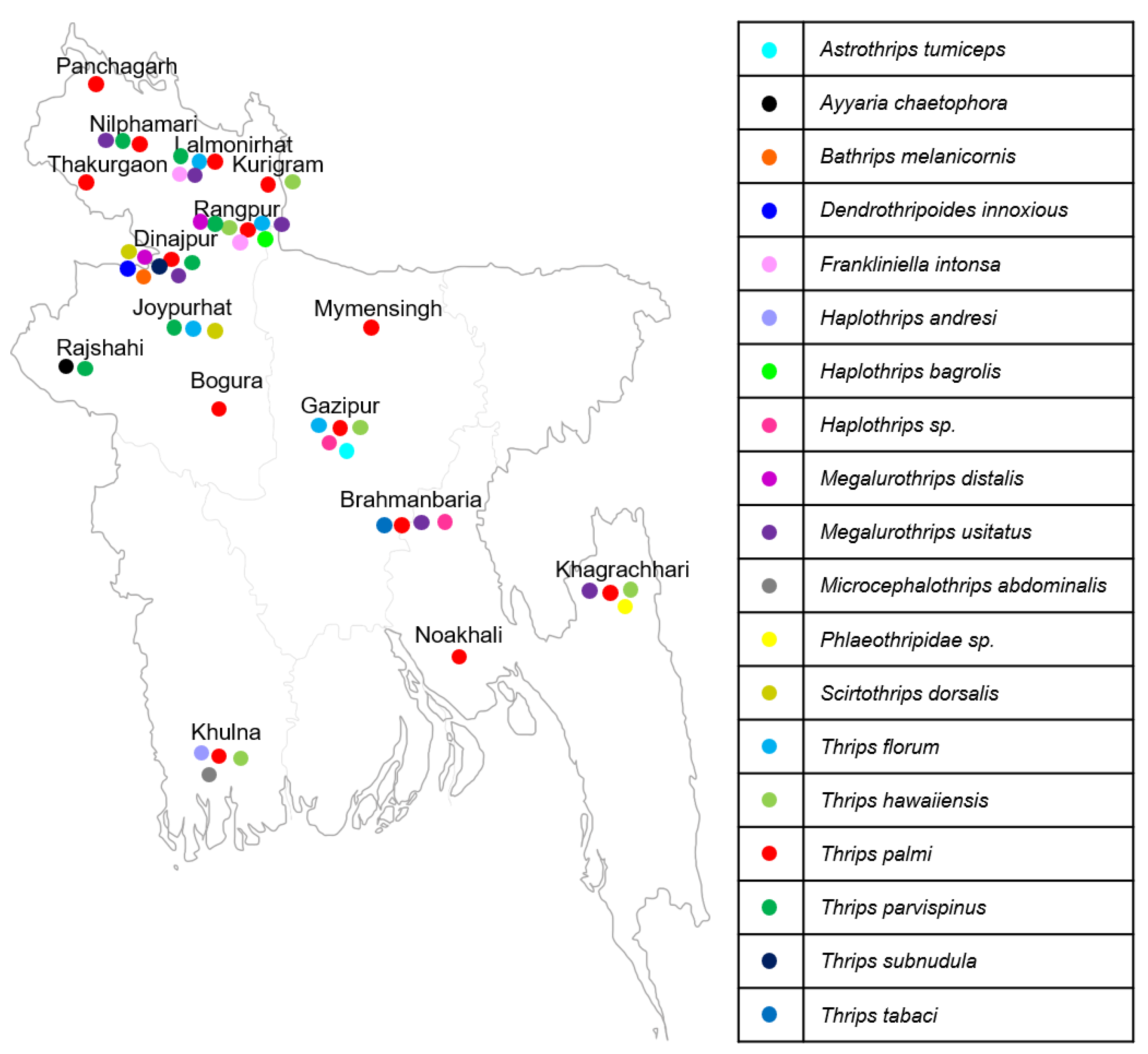 Insects 15 00107 g001