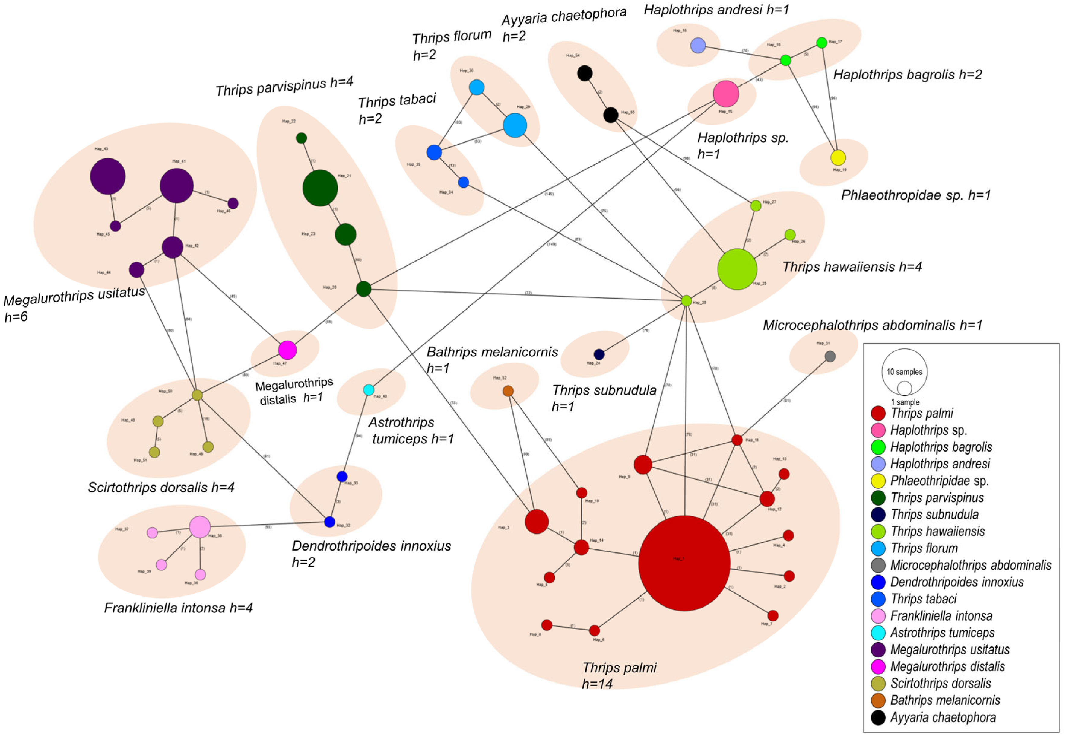 Insects 15 00107 g004