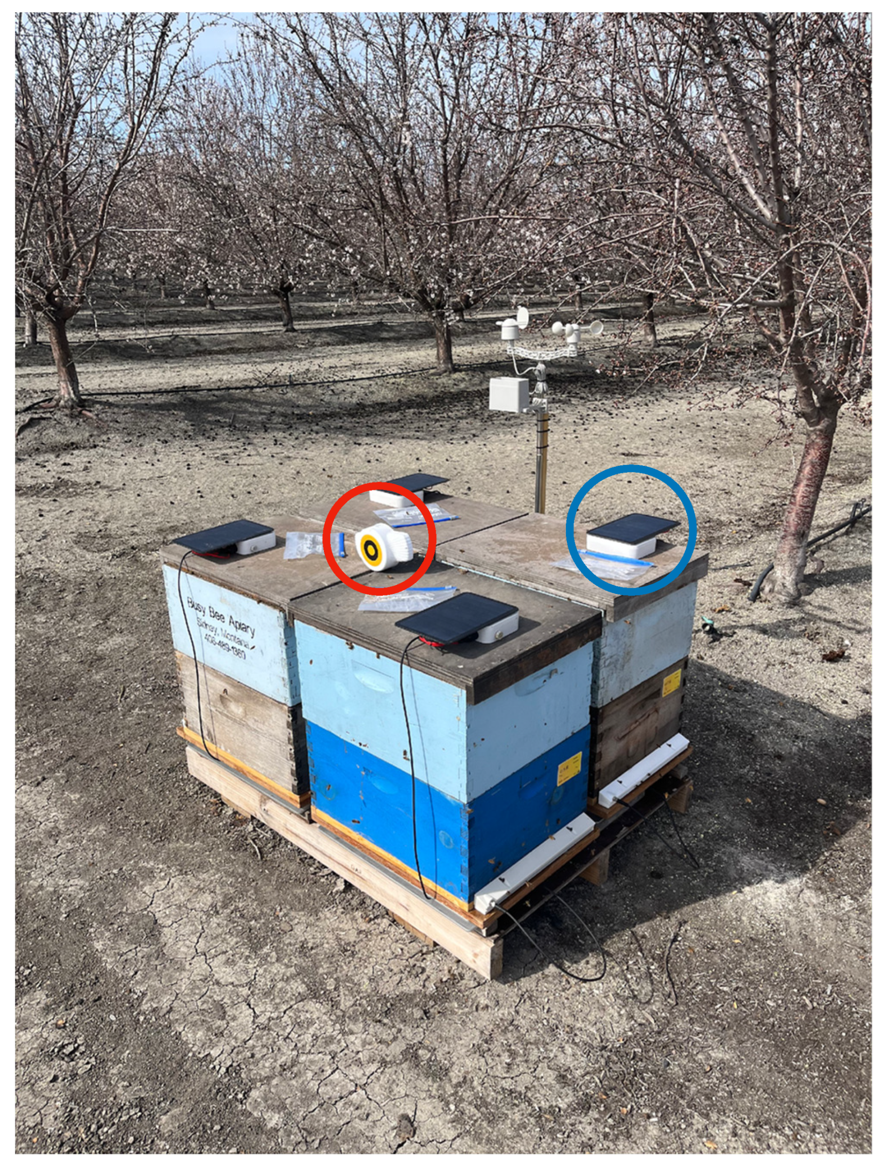 Insects 15 00112 g002