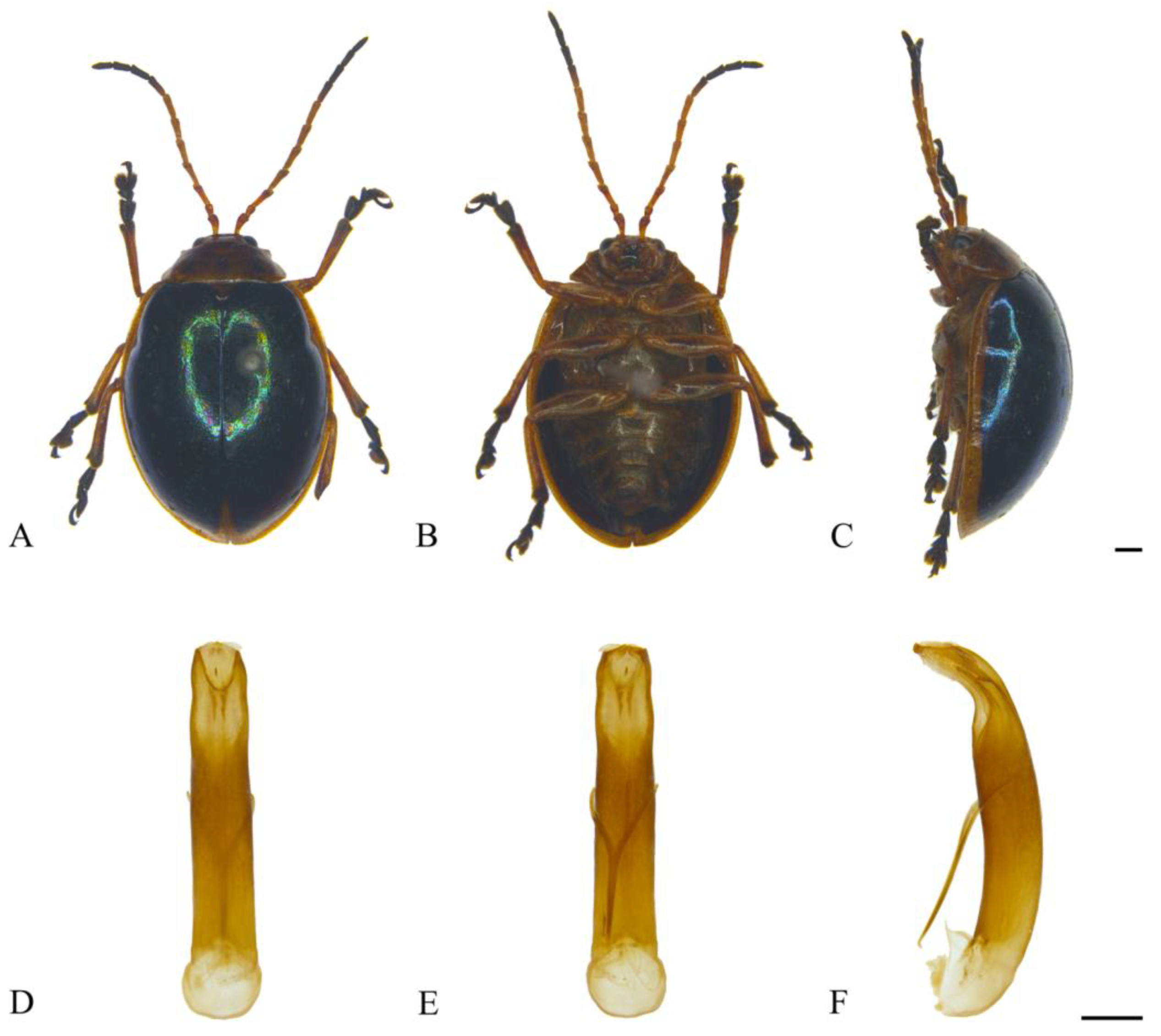 Insects 15 00114 g003