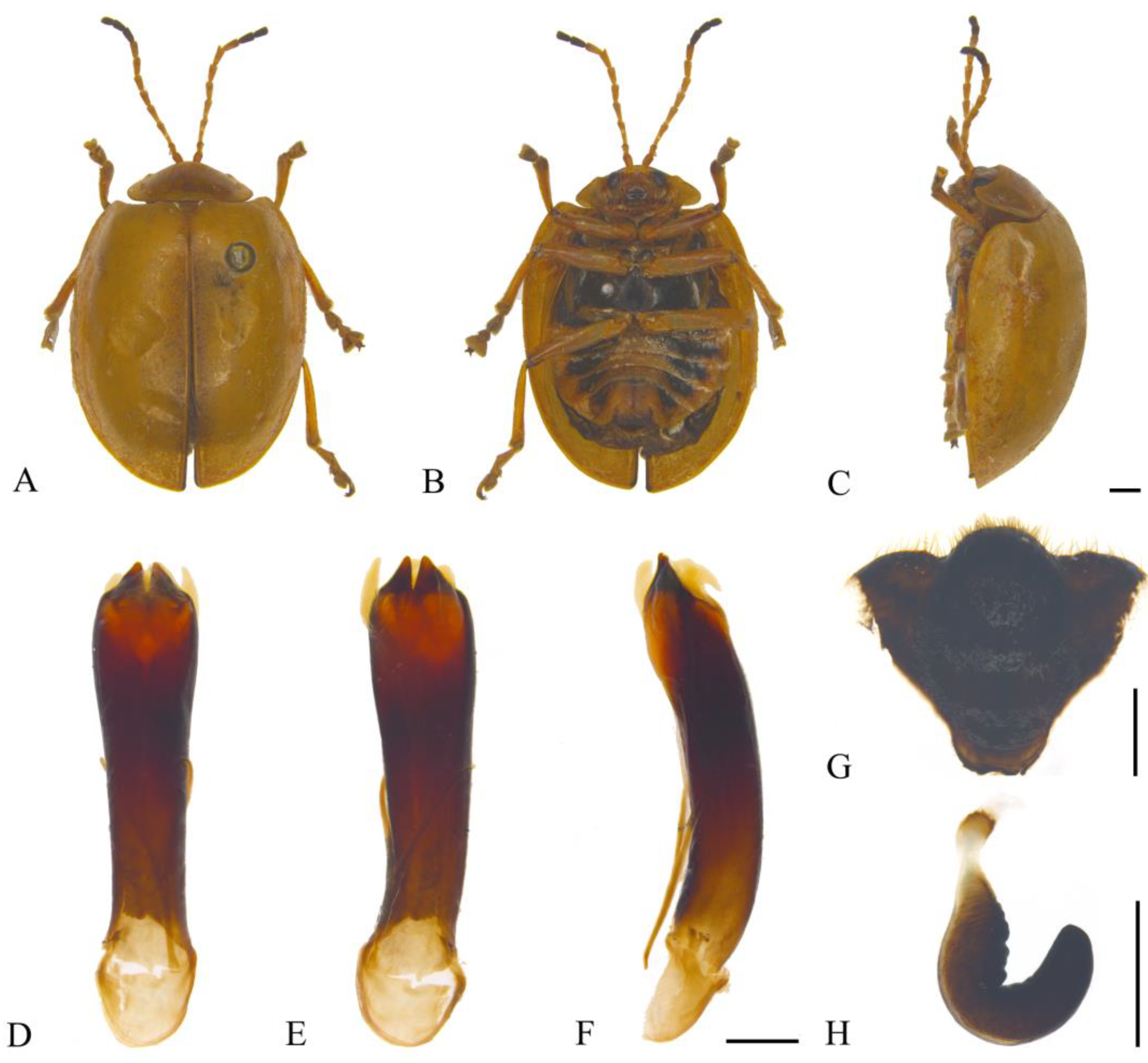 Insects 15 00114 g005