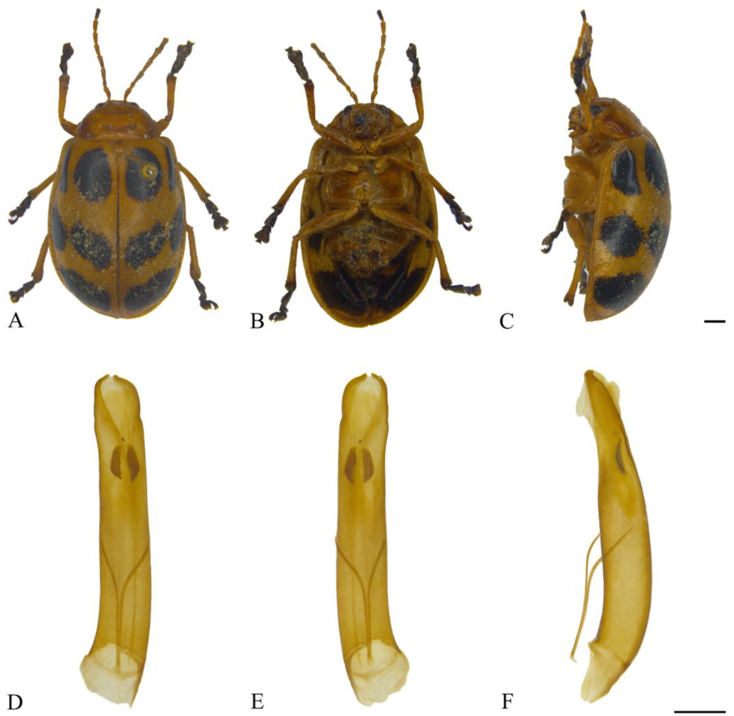 Insects 15 00114 g007