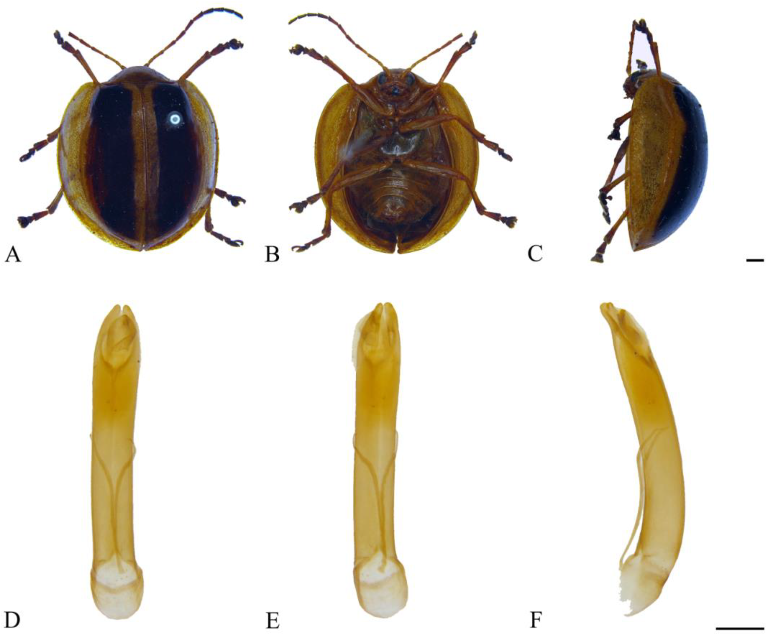 Insects 15 00114 g009