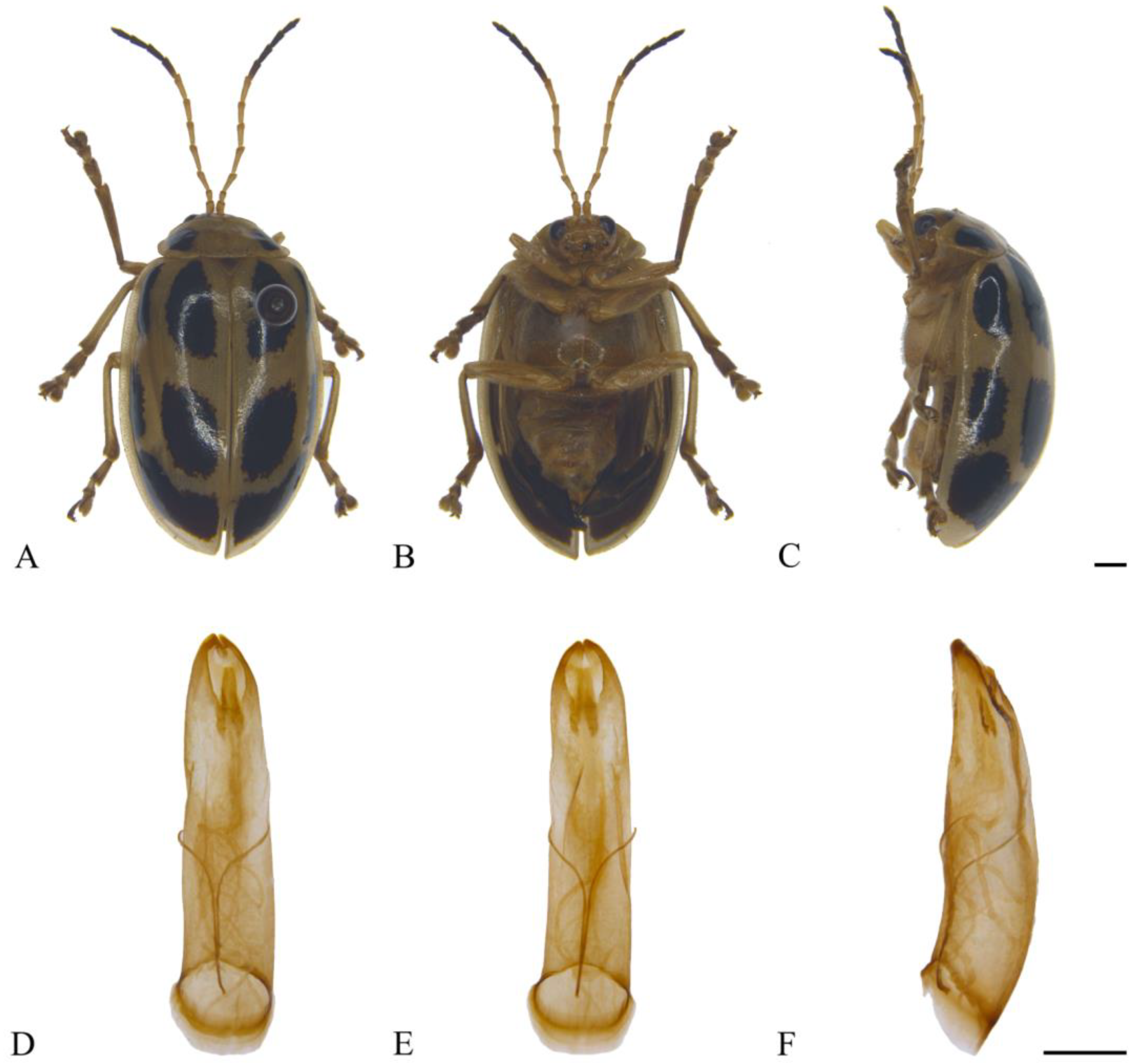 Insects 15 00114 g010