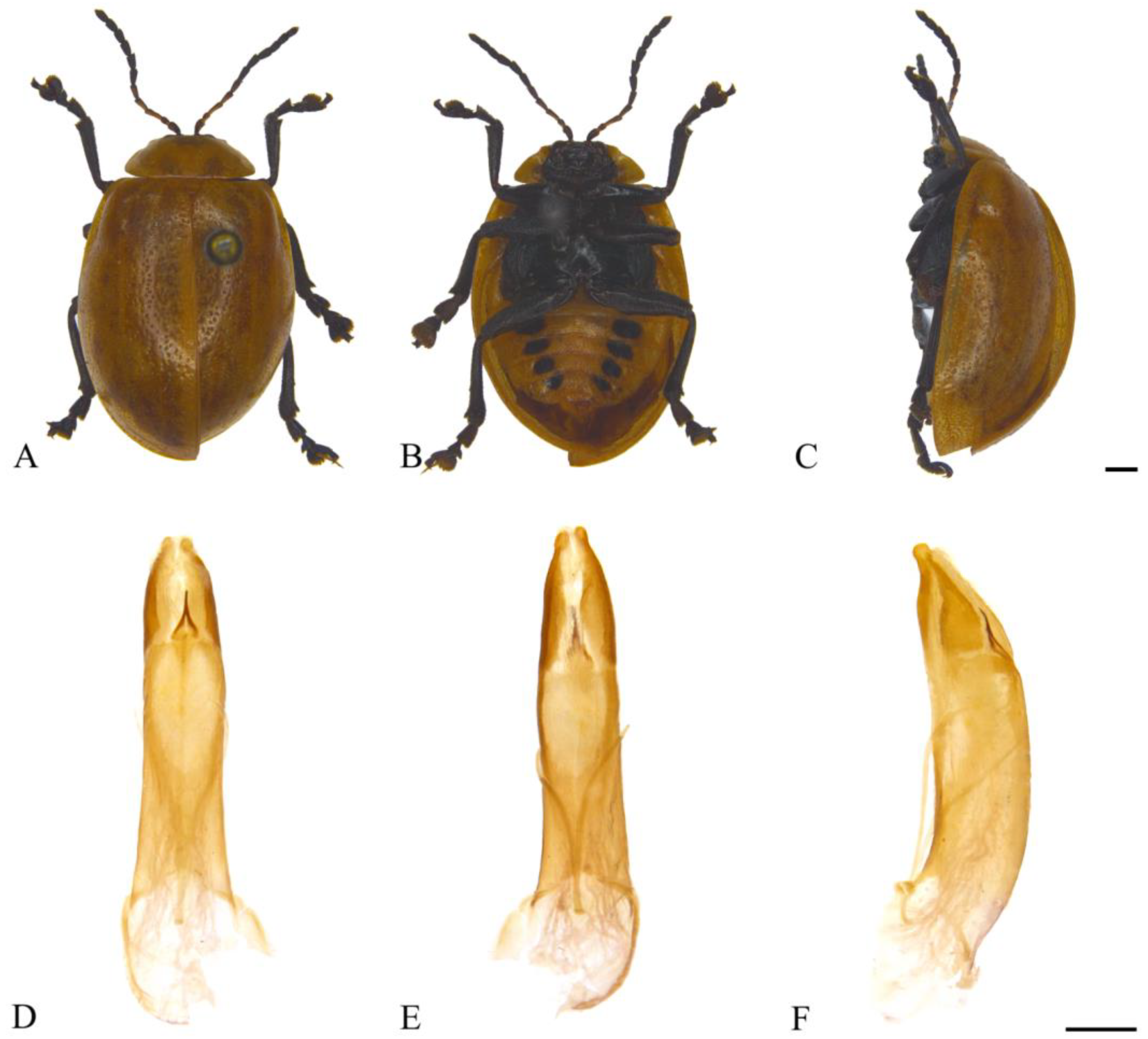 Insects 15 00114 g011