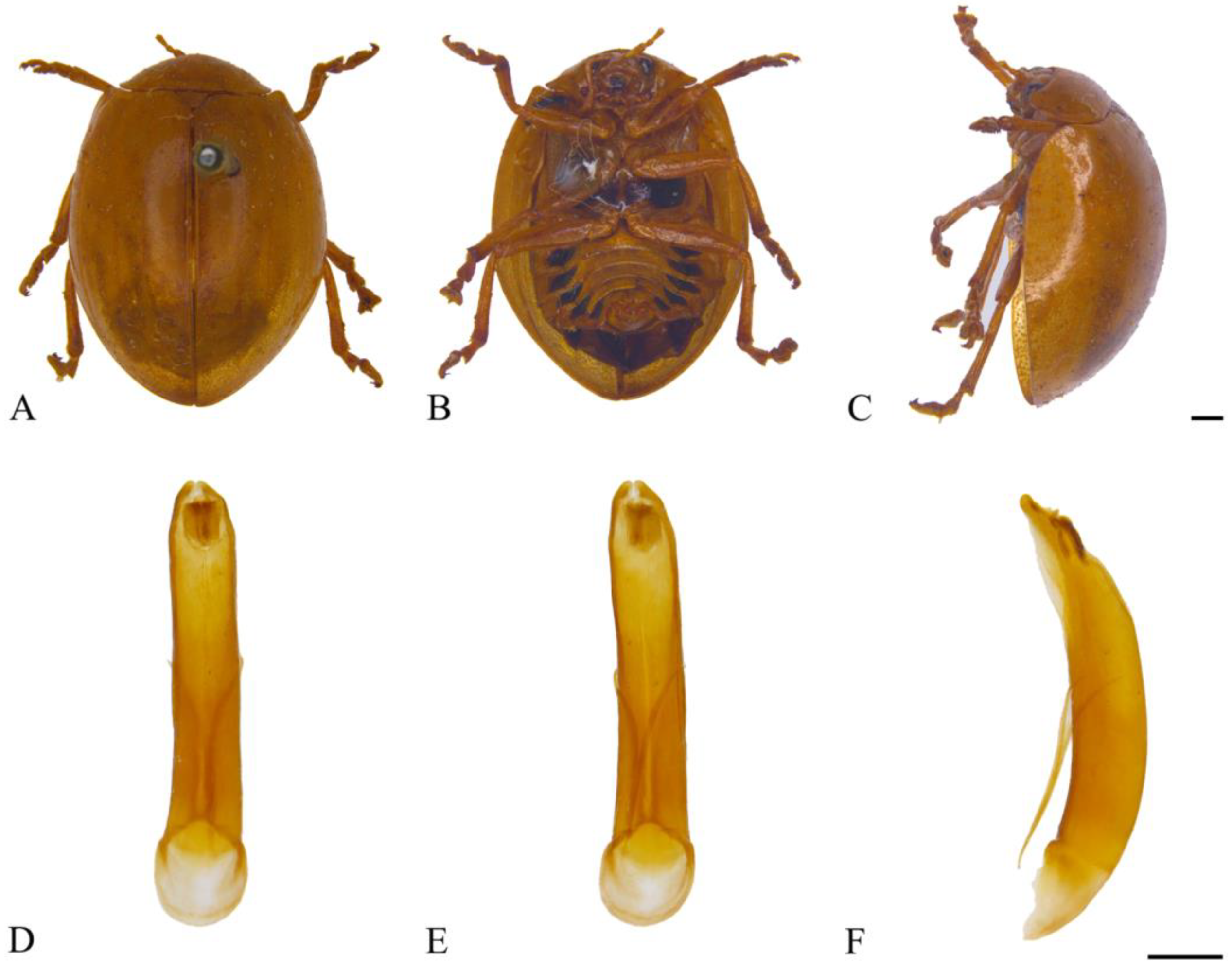 Insects 15 00114 g012