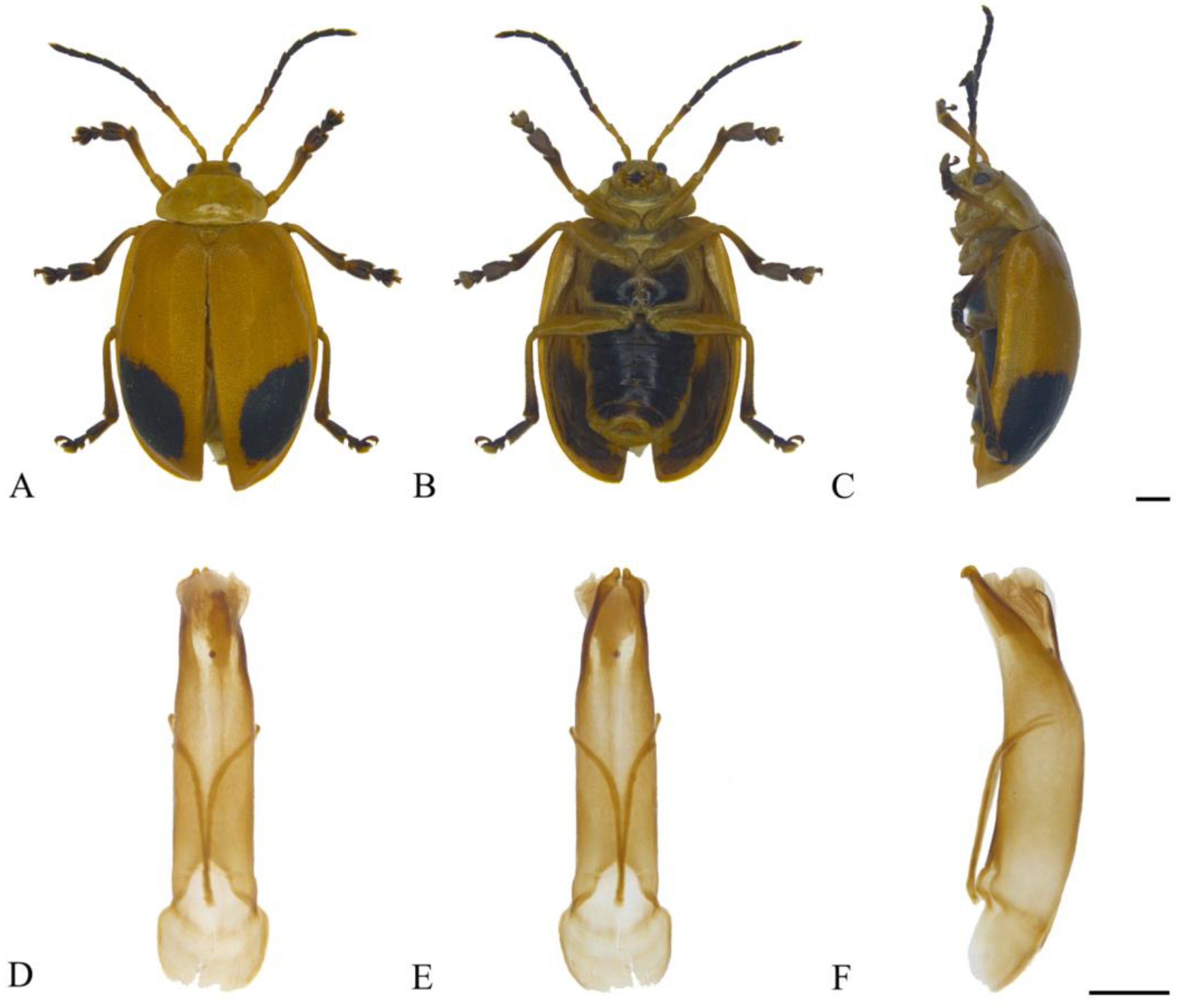 Insects 15 00114 g014