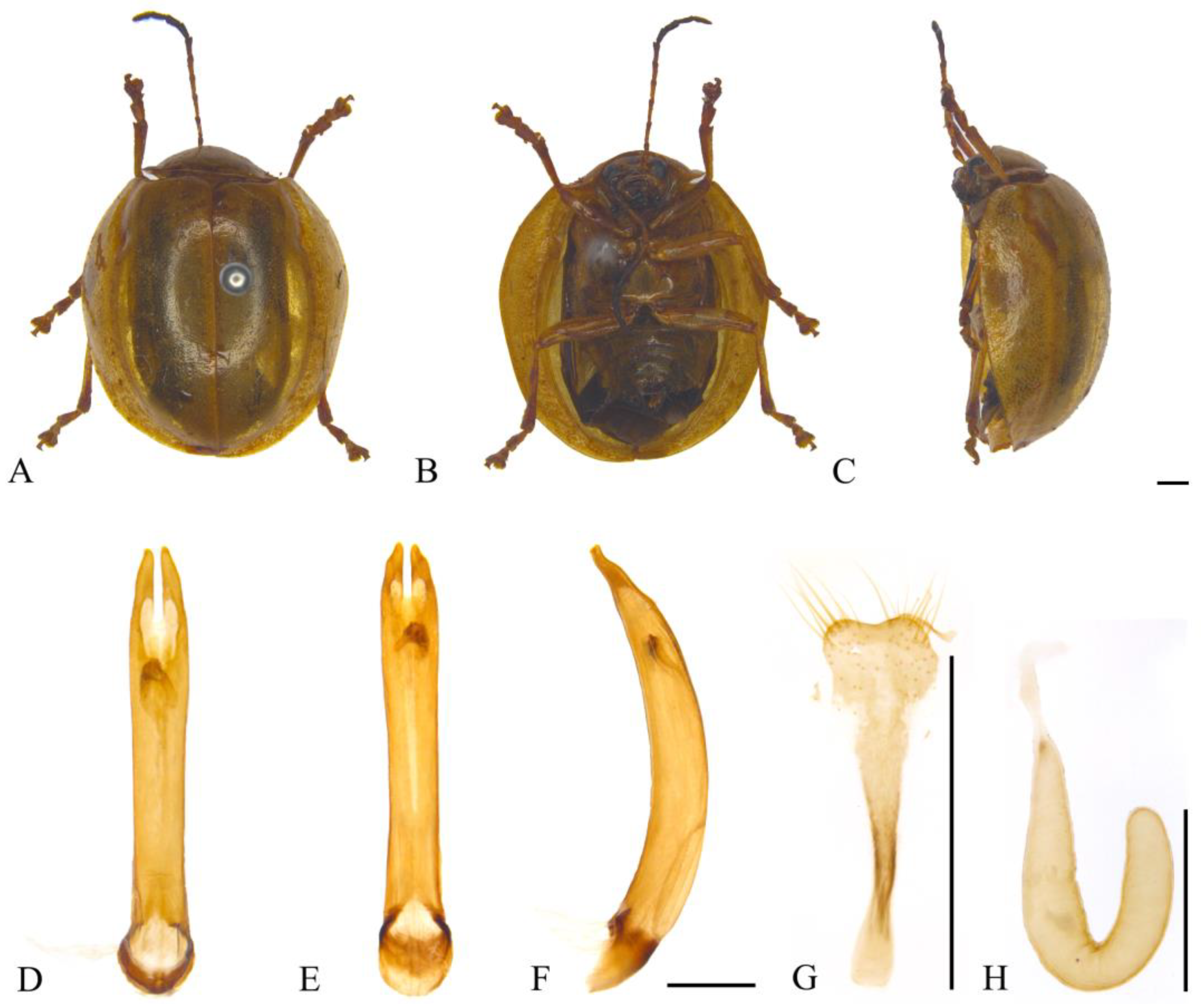 Insects 15 00114 g015