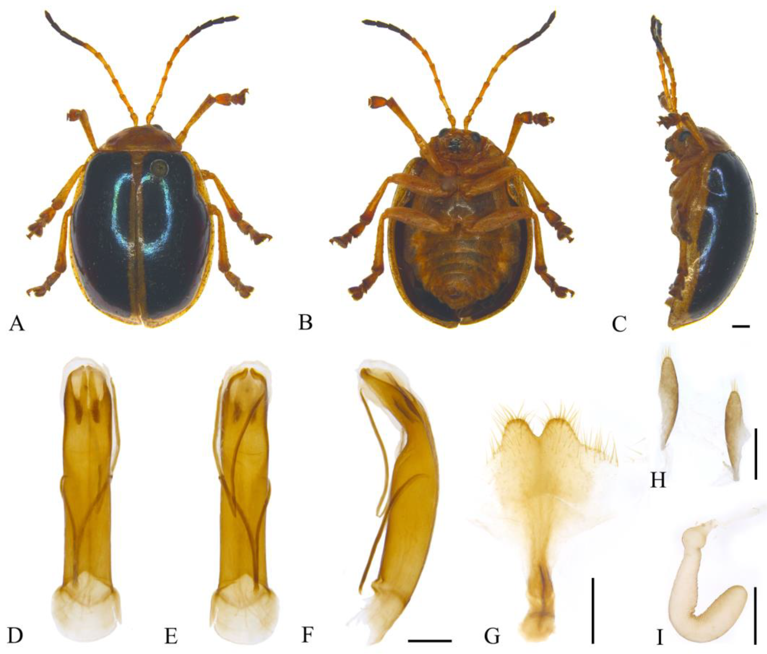 Insects 15 00114 g016