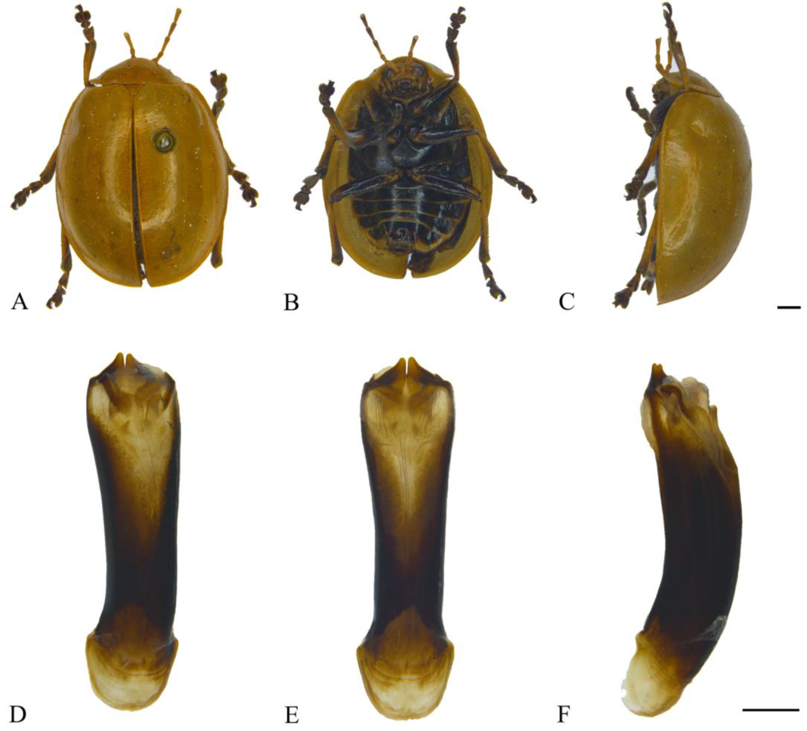 Insects 15 00114 g017