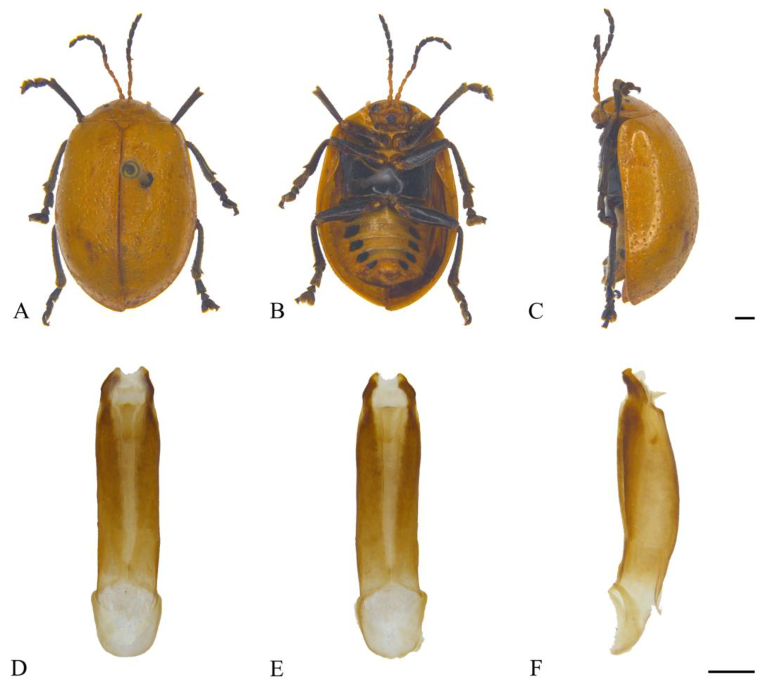 Insects 15 00114 g019