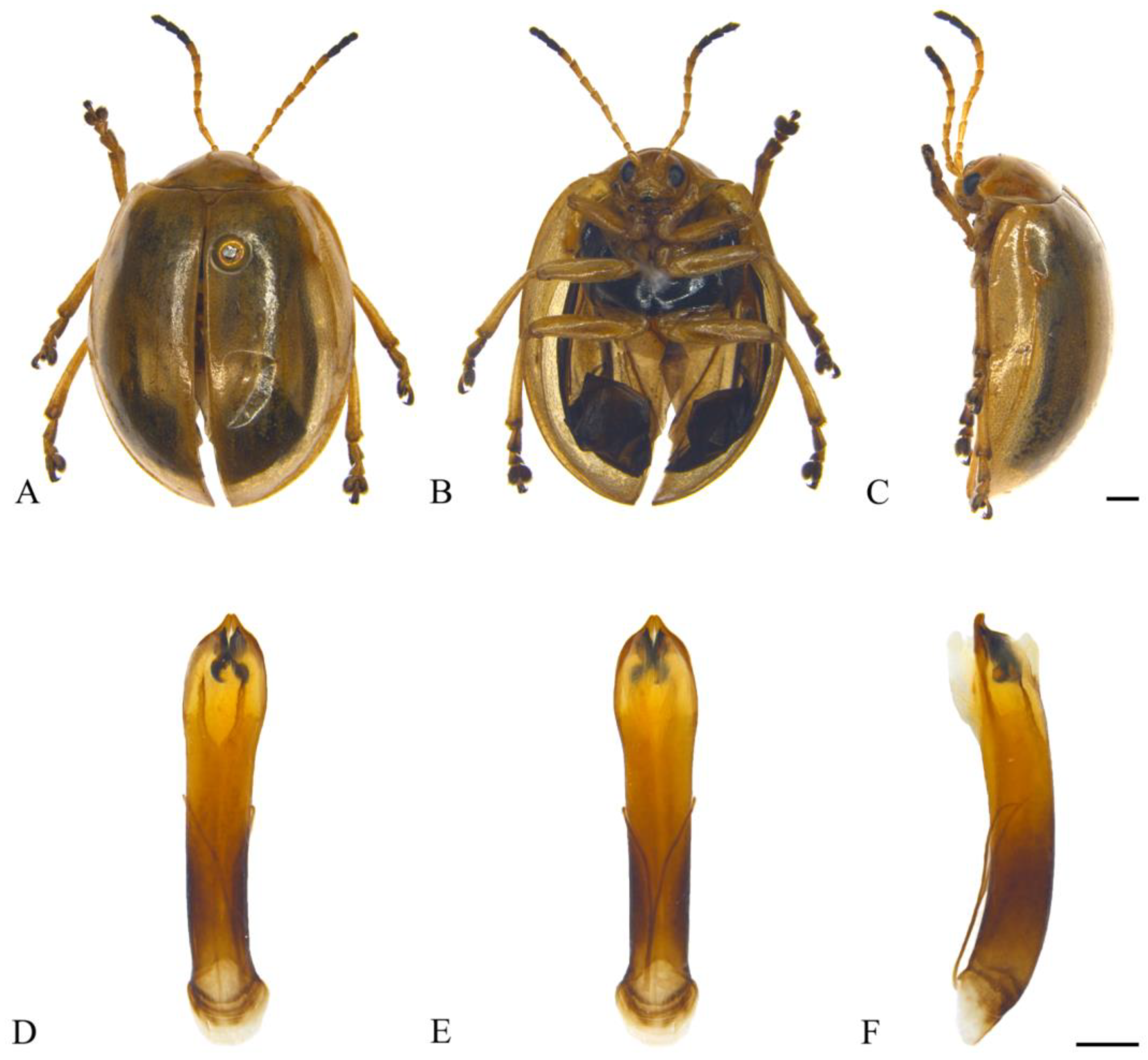 Insects 15 00114 g020